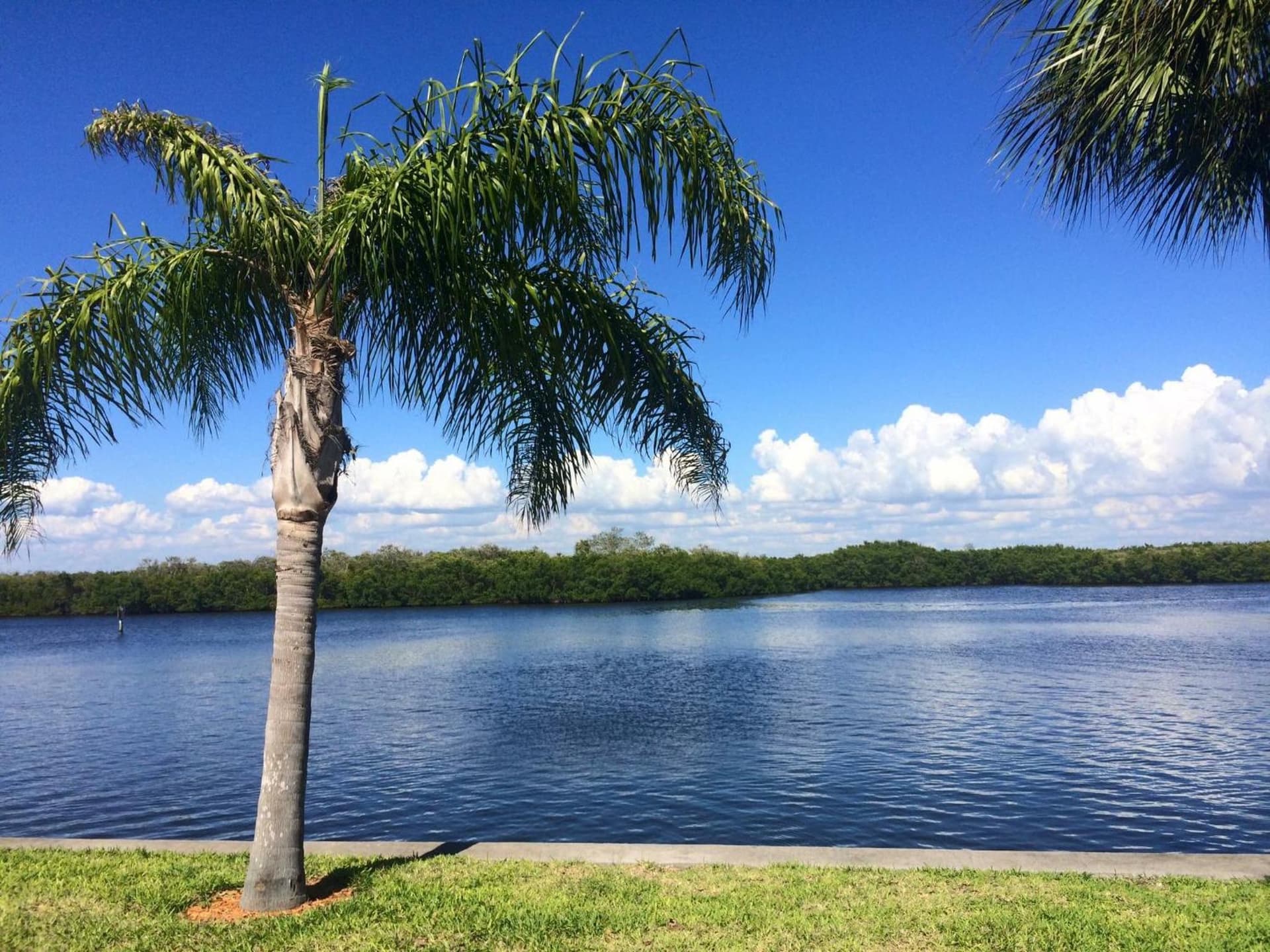 TAMPA BAY, BEACH step away, WIFI, FREE PARKING,POOLS, JACUZZI gallery photo in Ruskin, FL — image 7