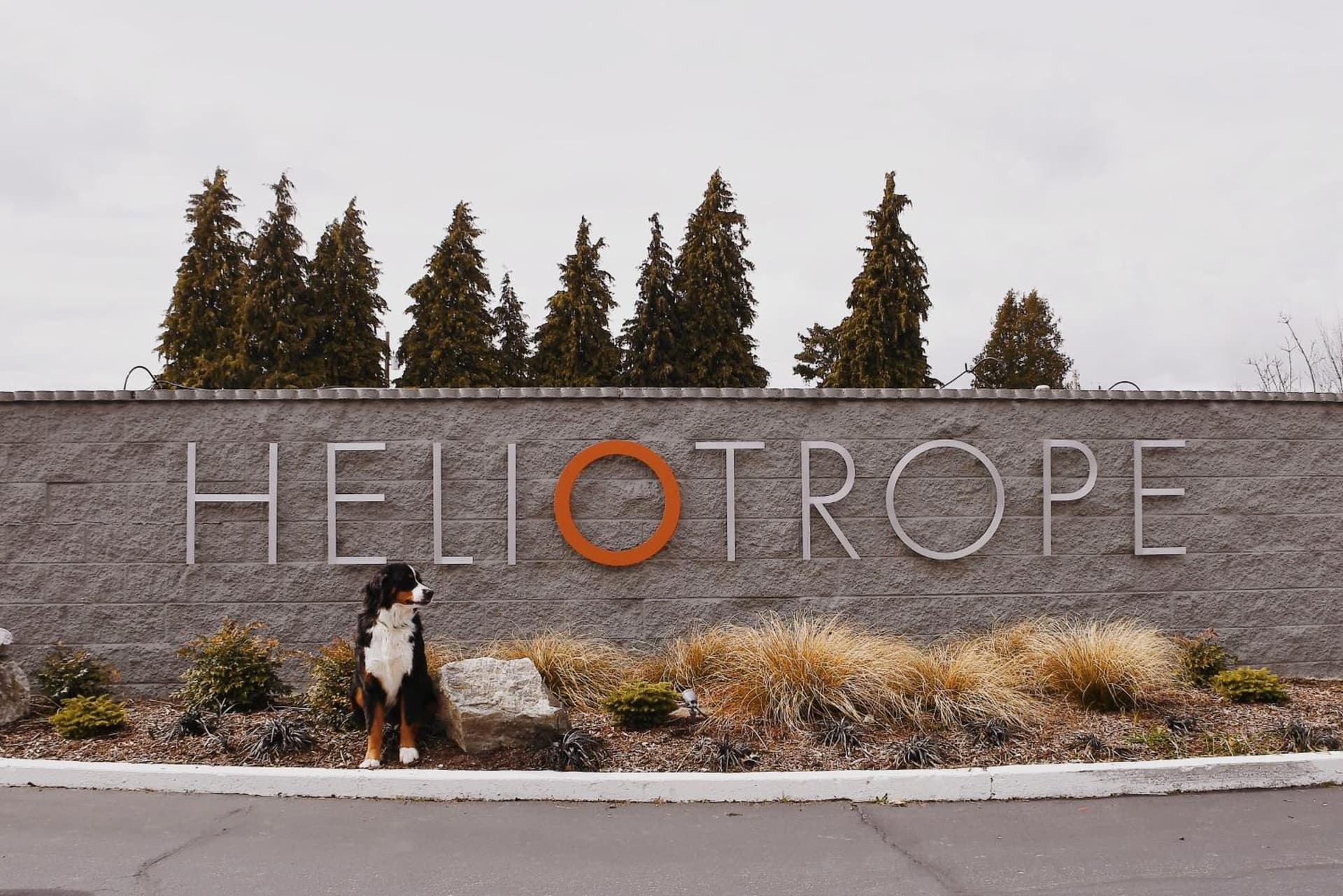 Heliotrope Hotel gallery photo in Bellingham, WA — image 5