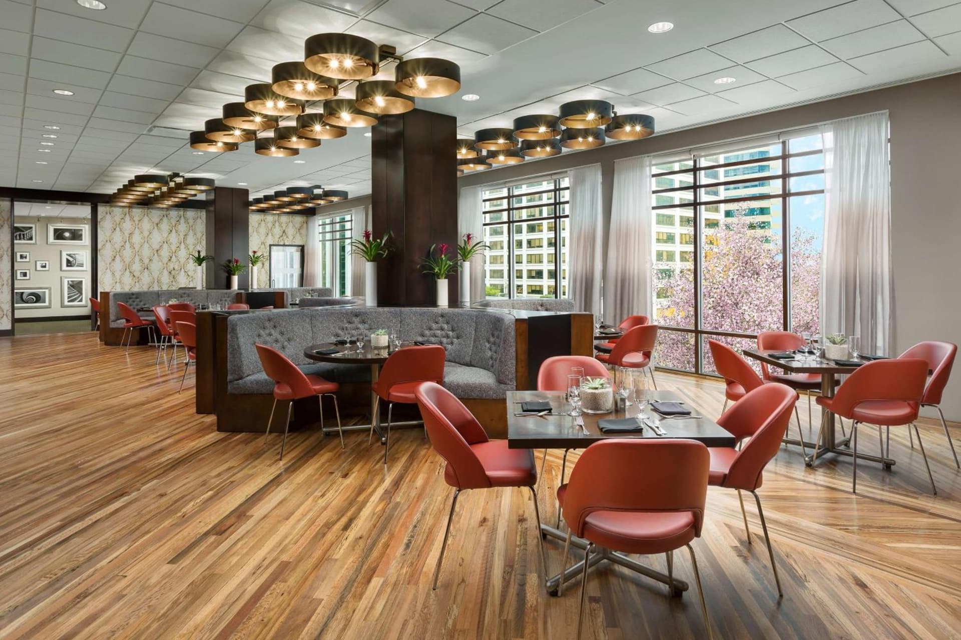 Hyatt Centric Arlington gallery photo in Arlington, VA — image 45