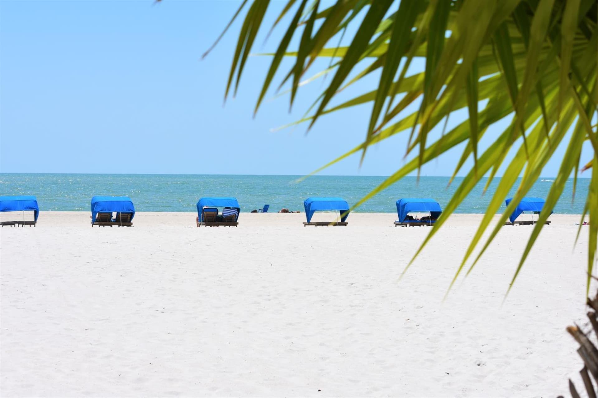 Barefoot Beach Club gallery photo in St Pete Beach, FL — image 23