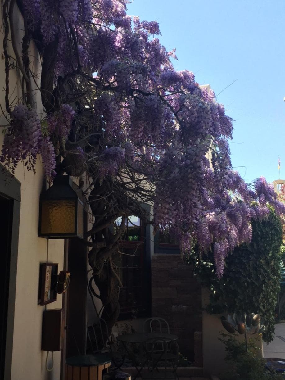 Inn of the Governors property views in Santa Fe, NM — gallery photo 3