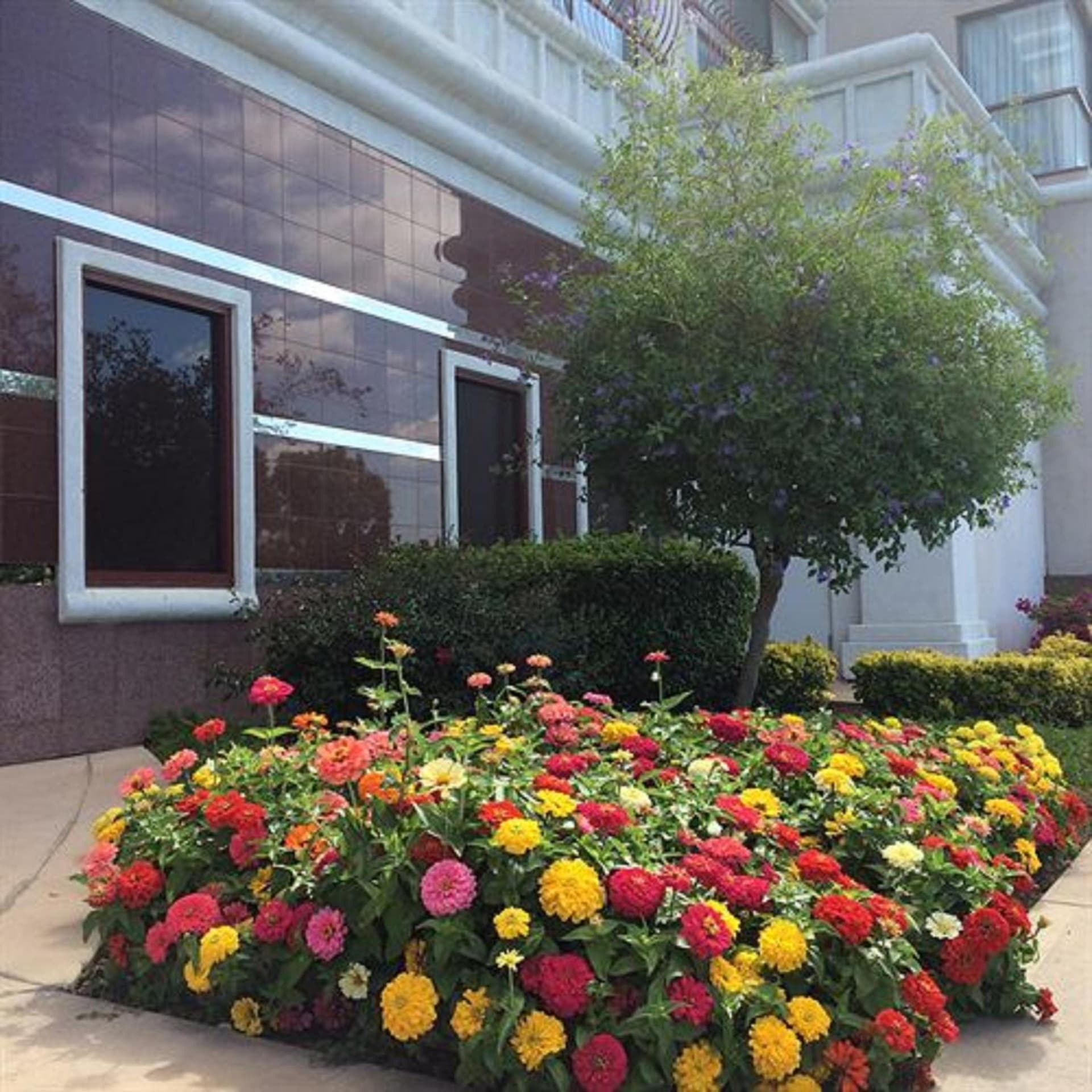 Grand Hotel gallery photo in Sunnyvale, CA — image 29