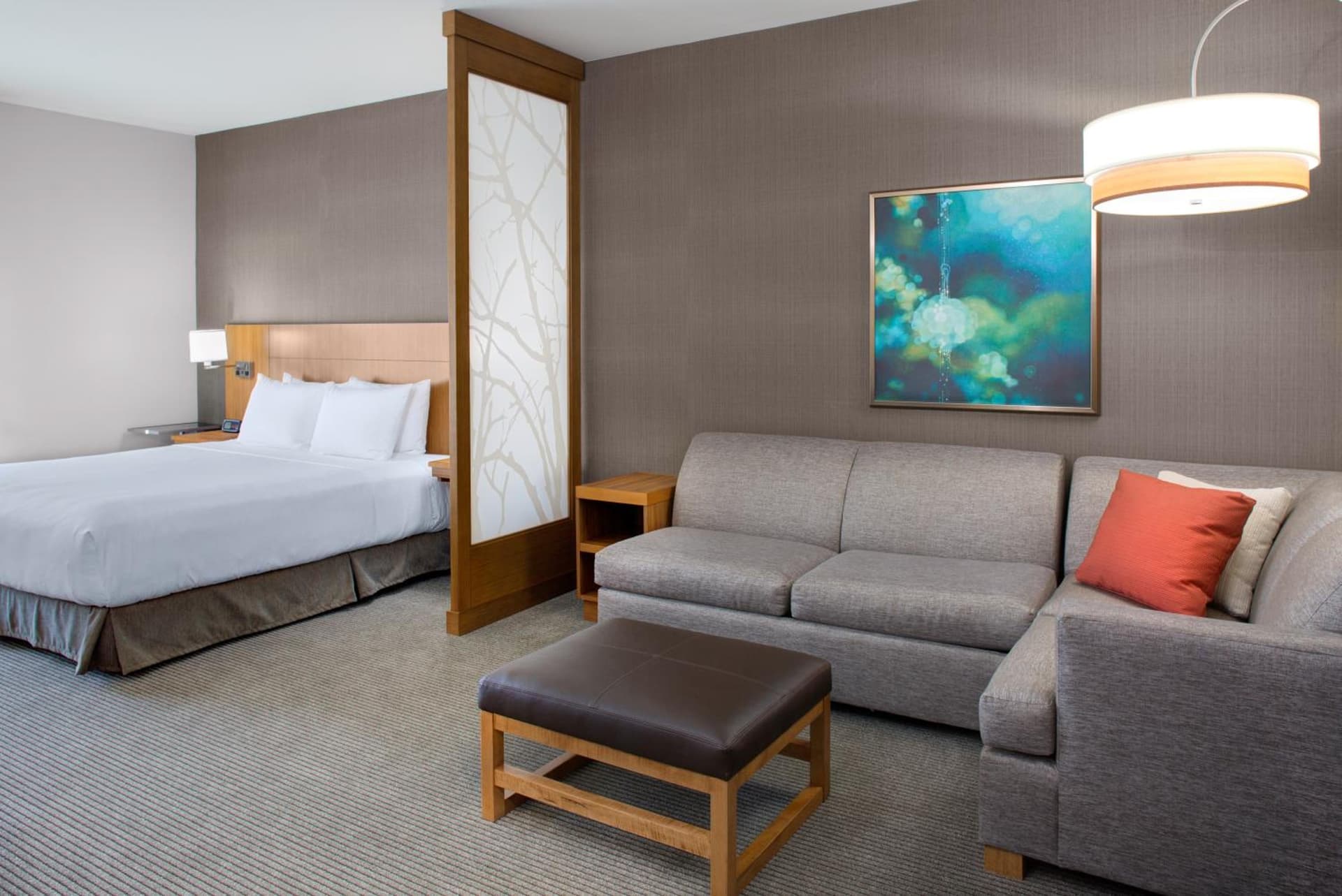Hyatt Place Dallas/The Colony gallery photo in The Colony, TX — image 43