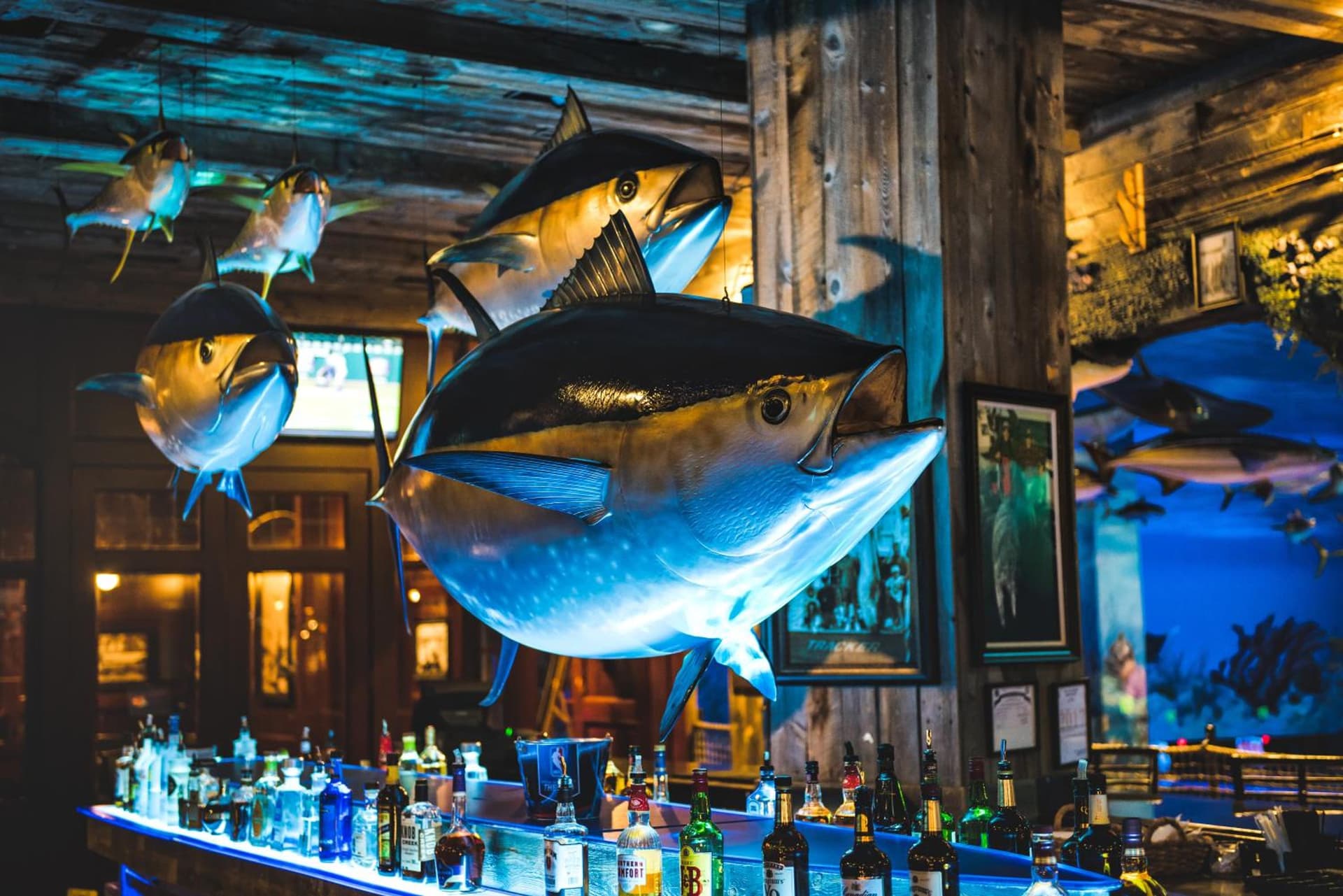 Big Cypress Lodge gallery photo in Memphis, TN — image 30