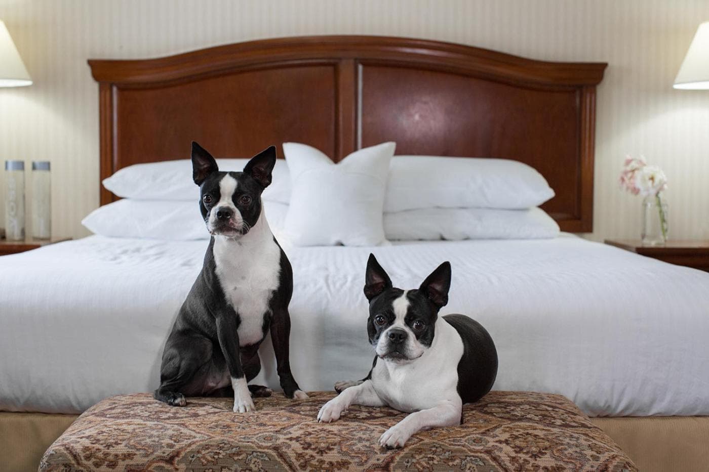 Rogue Regency Inn Medford Airport gallery photo in Medford, OR — image 57
