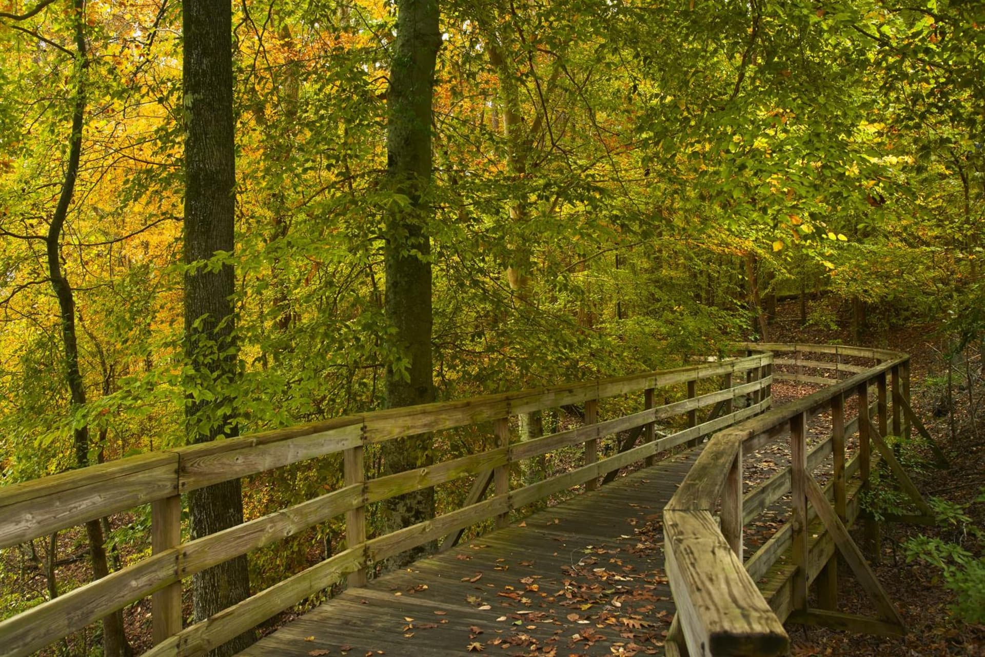 Atlanta Evergreen Lakeside Resort gallery photo in Stone Mountain, GA — image 77