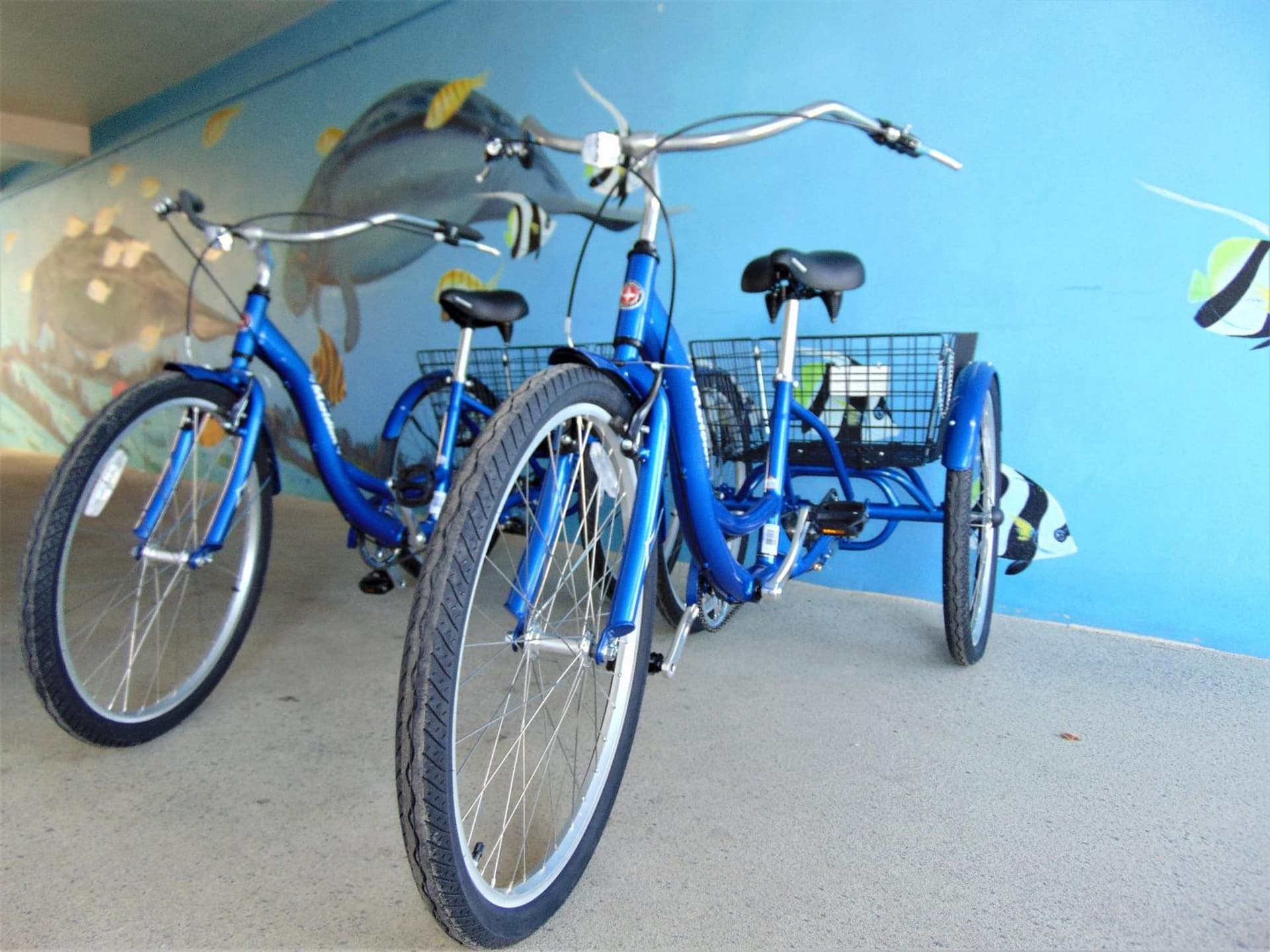 Dolphin Key Resort - Cape Coral gallery photo in Cape Coral, FL — image 13