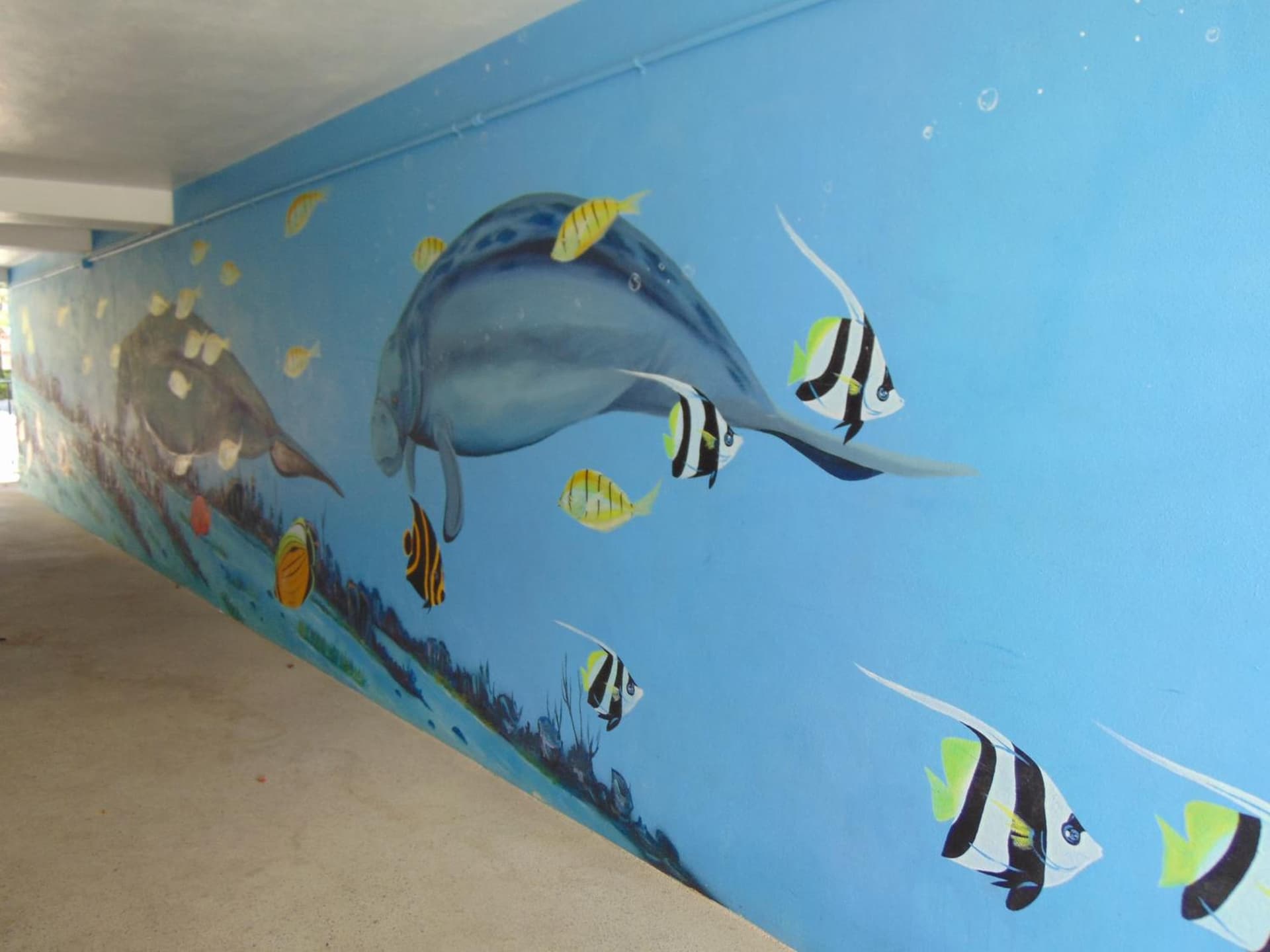 Dolphin Key Resort - Cape Coral gallery photo in Cape Coral, FL — image 24