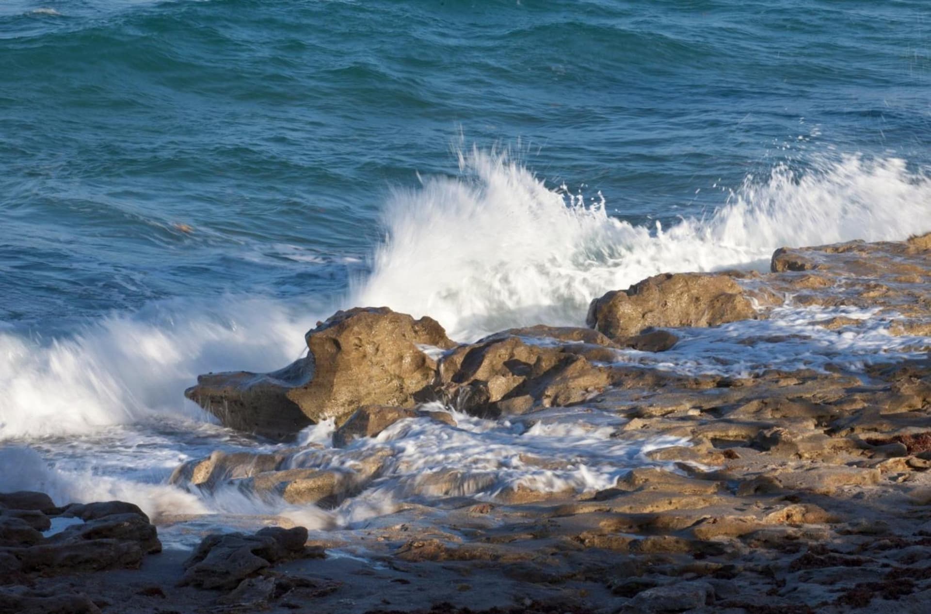 Jupiter Beach Resort & Spa gallery photo in Jupiter, FL — image 4
