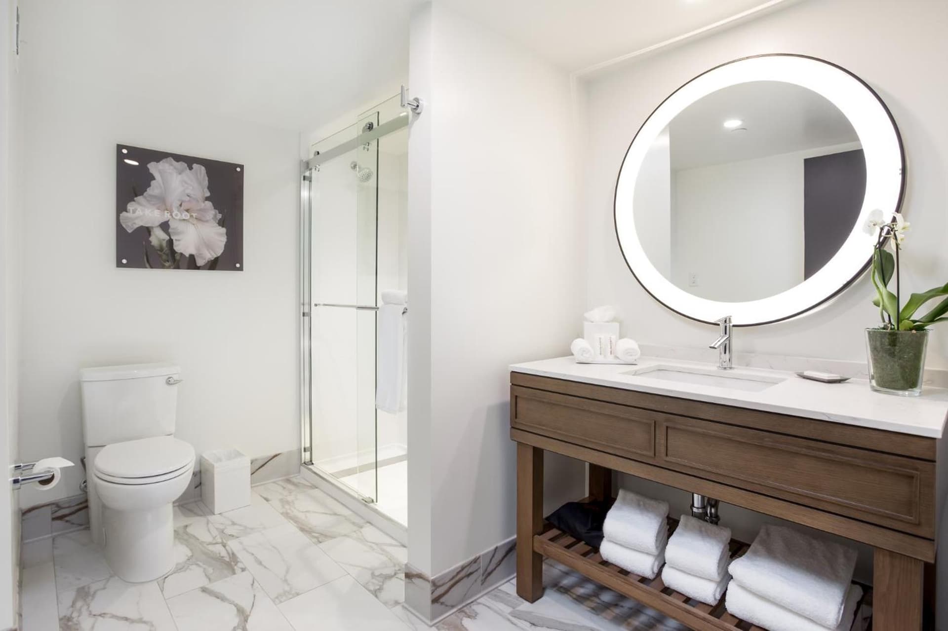 ARC Hotel, Washington DC, Series by Marriott gallery photo in Washington, DC — image 9