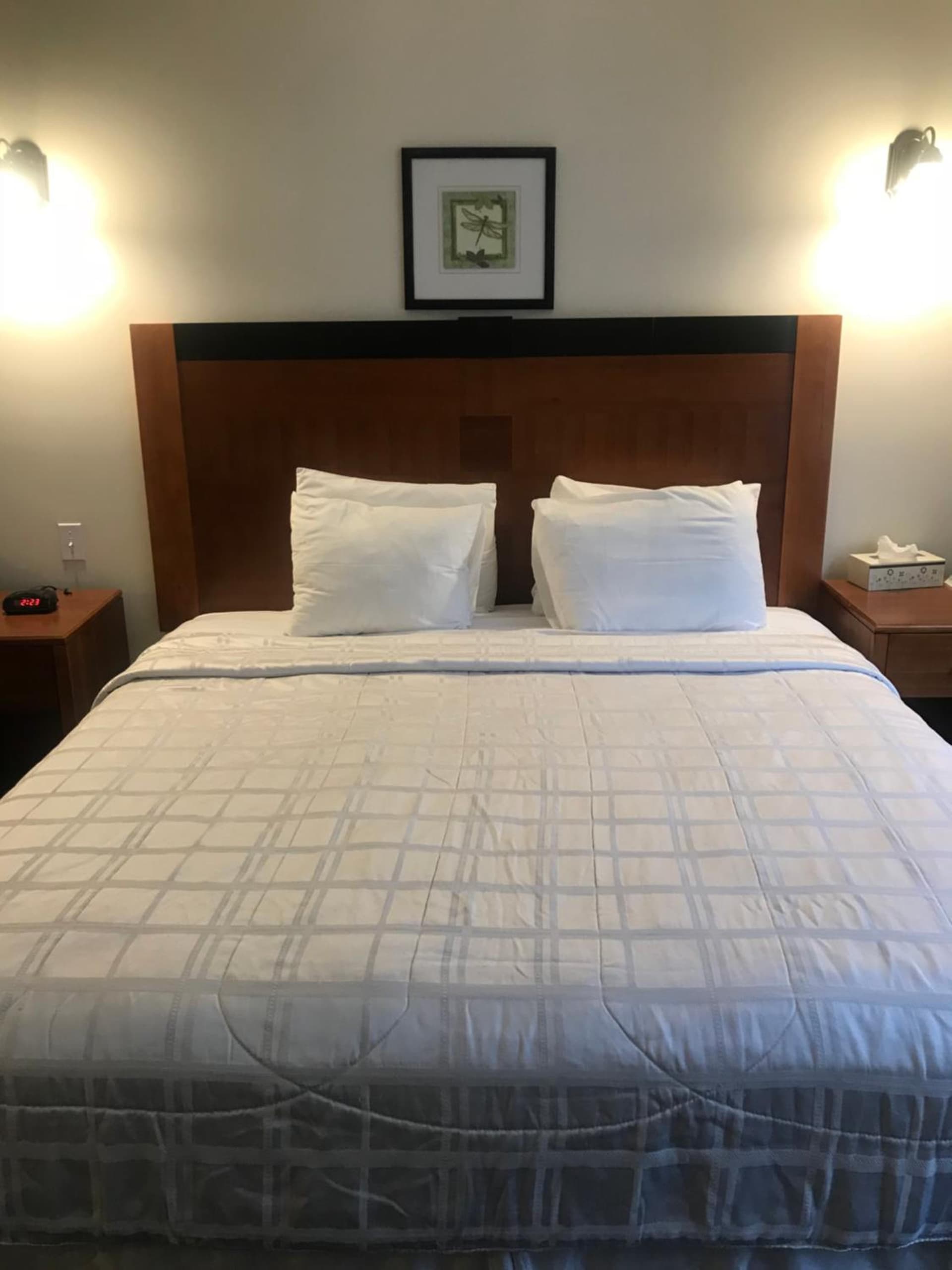 Crescent Suites Hotel gallery photo in Waltham, MA — image 53