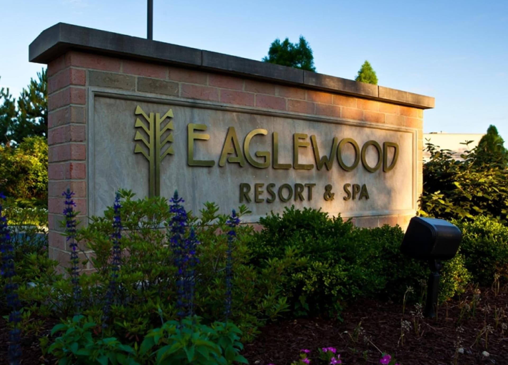 Eaglewood Resort & Spa gallery photo in Itasca, IL — image 12