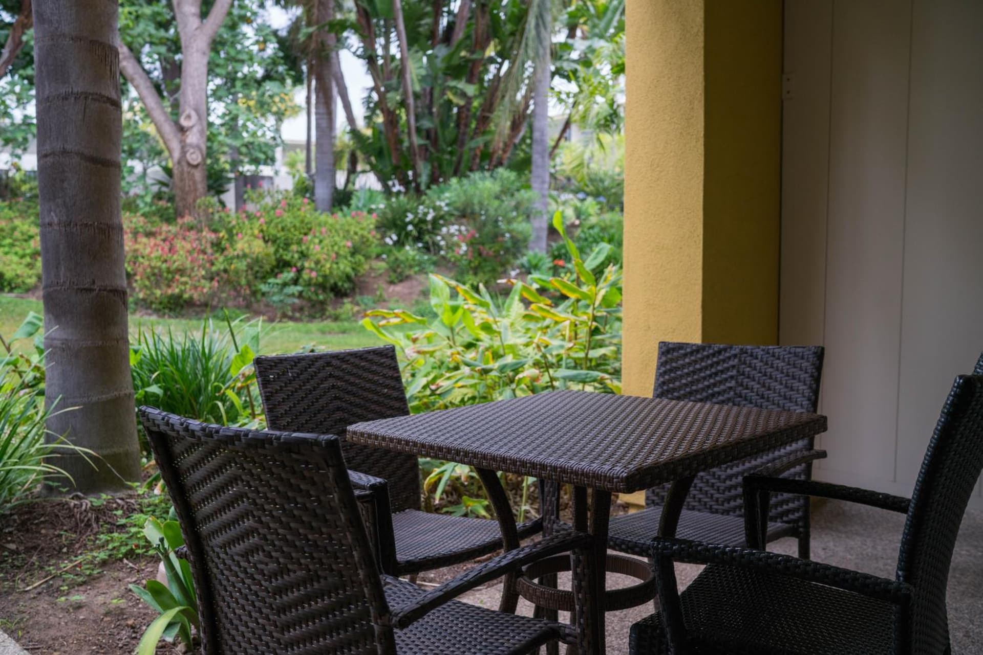 Lemon Tree Inn gallery photo in Santa Barbara, CA — image 58