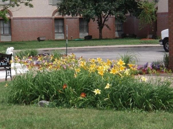 Chateau Hotel and Conference Center gallery photo in Bloomington, IL — image 67