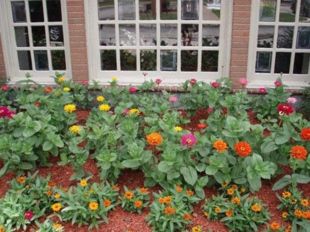 Chateau Hotel and Conference Center gallery photo in Bloomington, IL — image 42