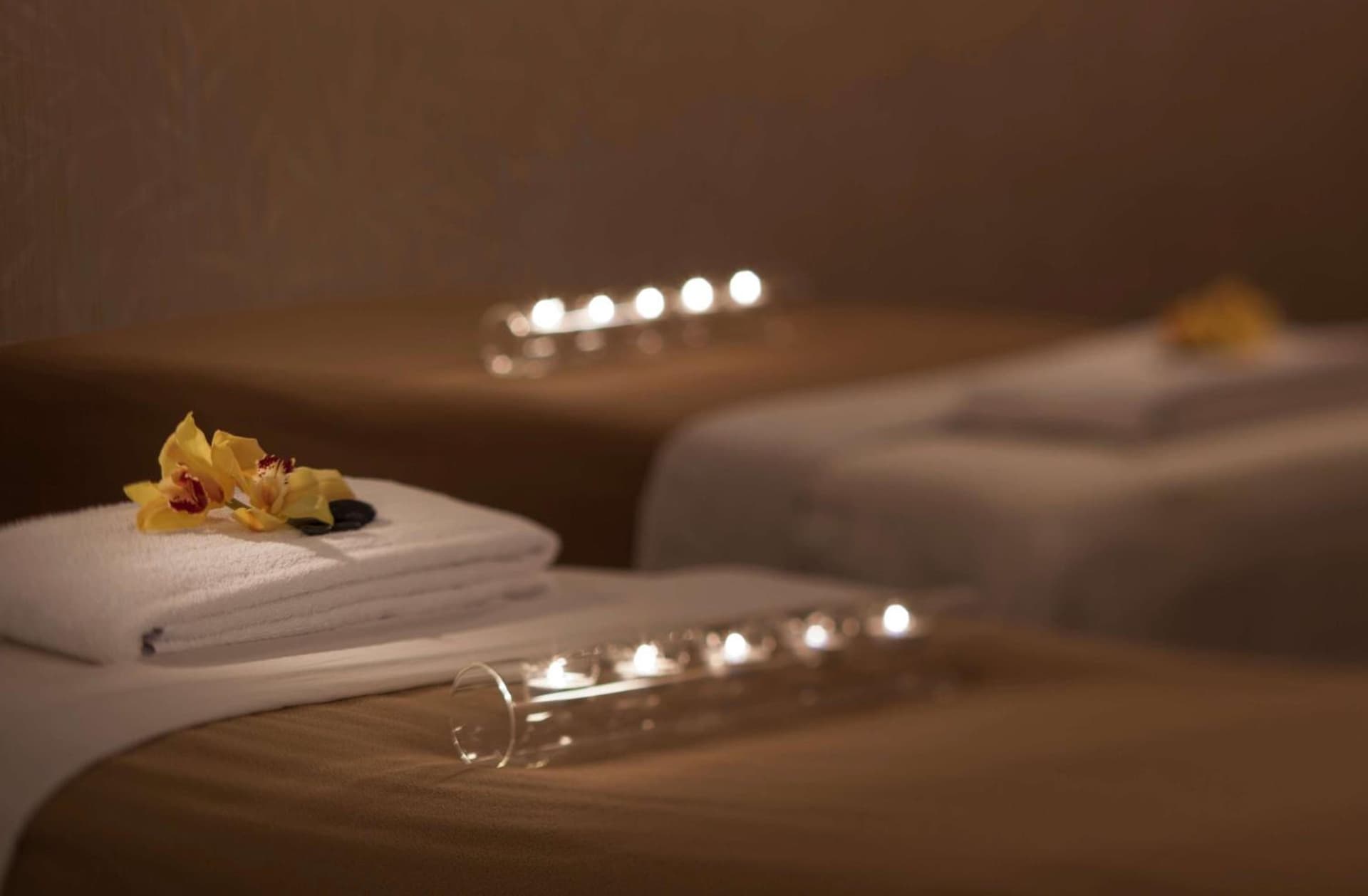 Hyatt Lodge Oak Brook Chicago gallery photo in Oak Brook, IL — image 70