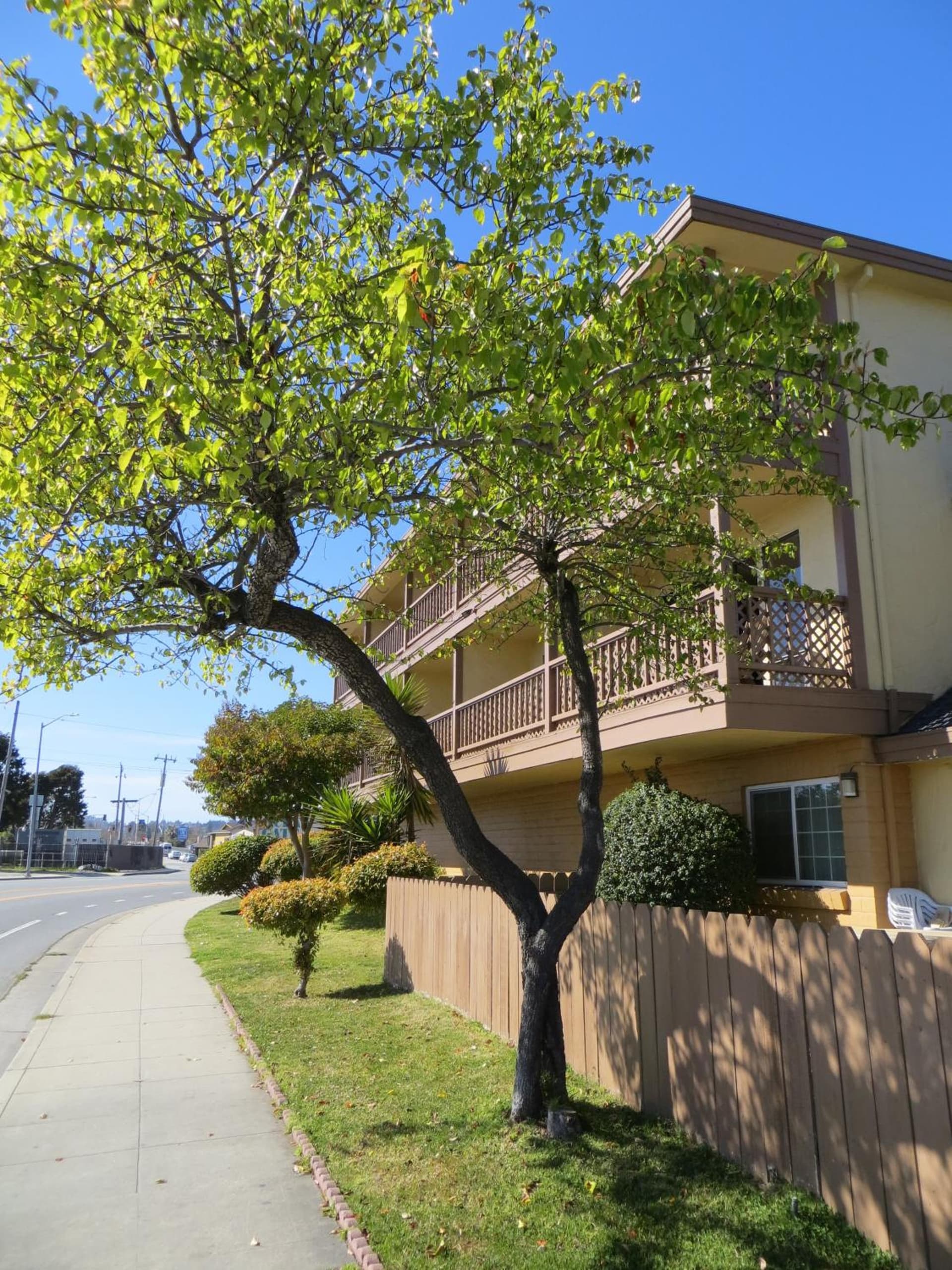 Ocean Gate Inn property views in Santa Cruz, CA — gallery photo 3