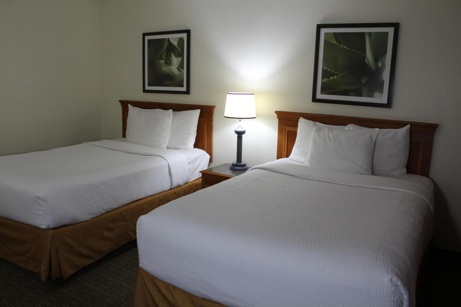 La Quinta by Wyndham Lakeland East gallery photo in Lakeland, FL — image 24