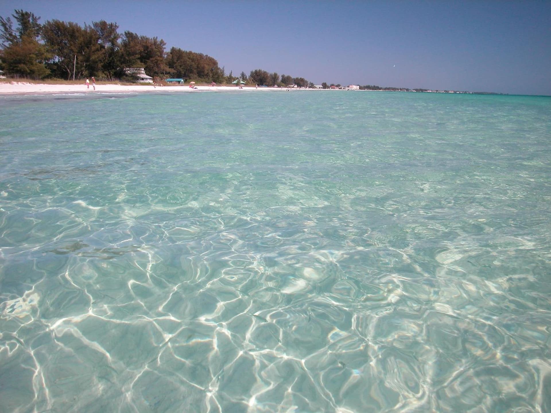 Silver Surf Gulf Beach Resort gallery photo in Bradenton Beach, FL — image 24