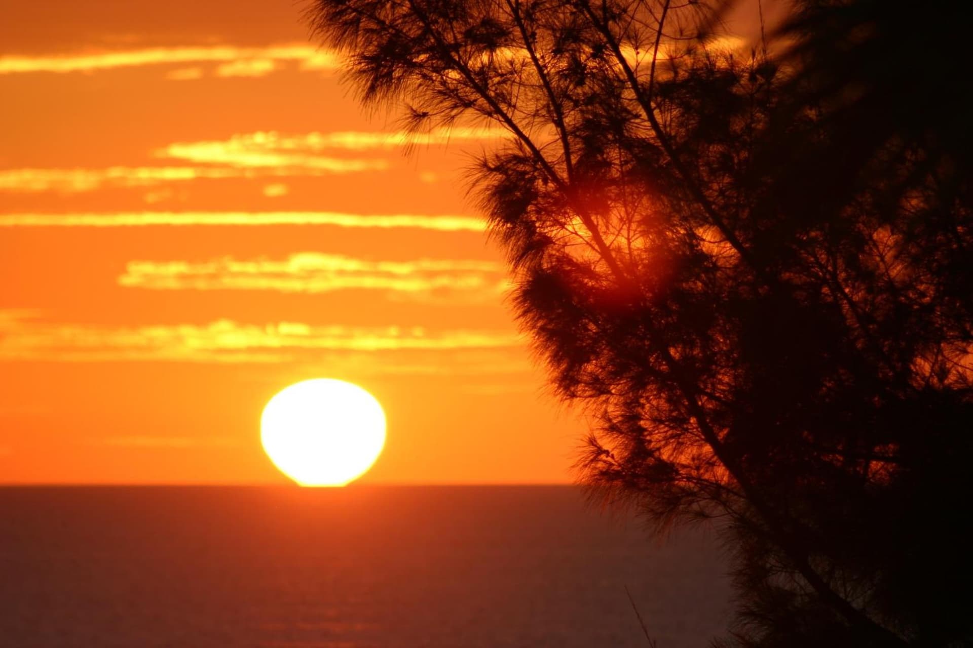 Silver Surf Gulf Beach Resort gallery photo in Bradenton Beach, FL — image 23