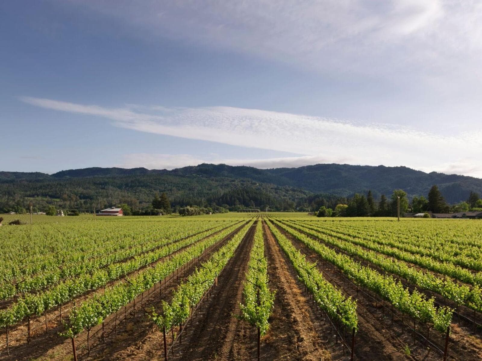 Harvest Inn gallery photo in St. Helena, CA — image 72