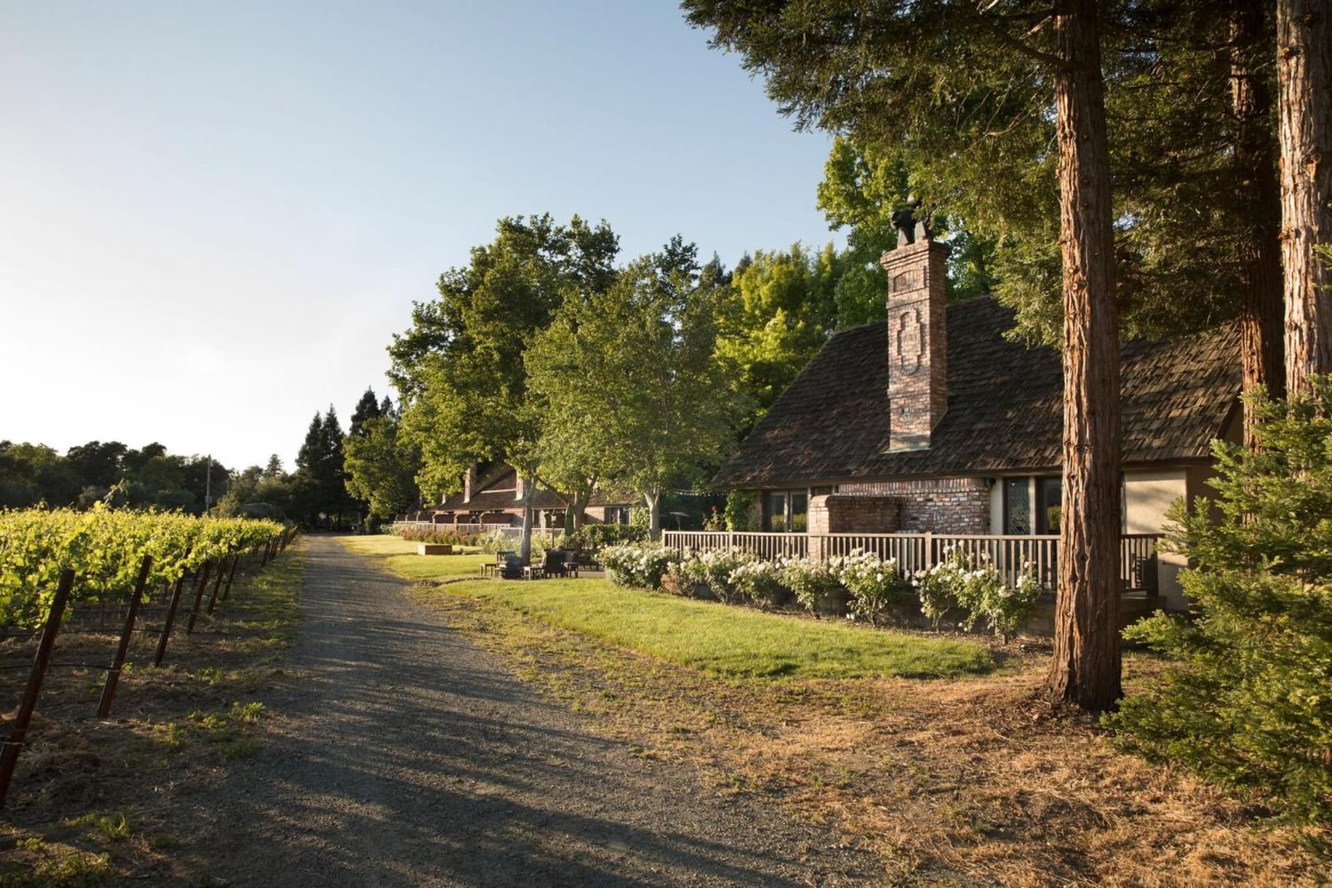 Harvest Inn gallery photo in St. Helena, CA — image 69