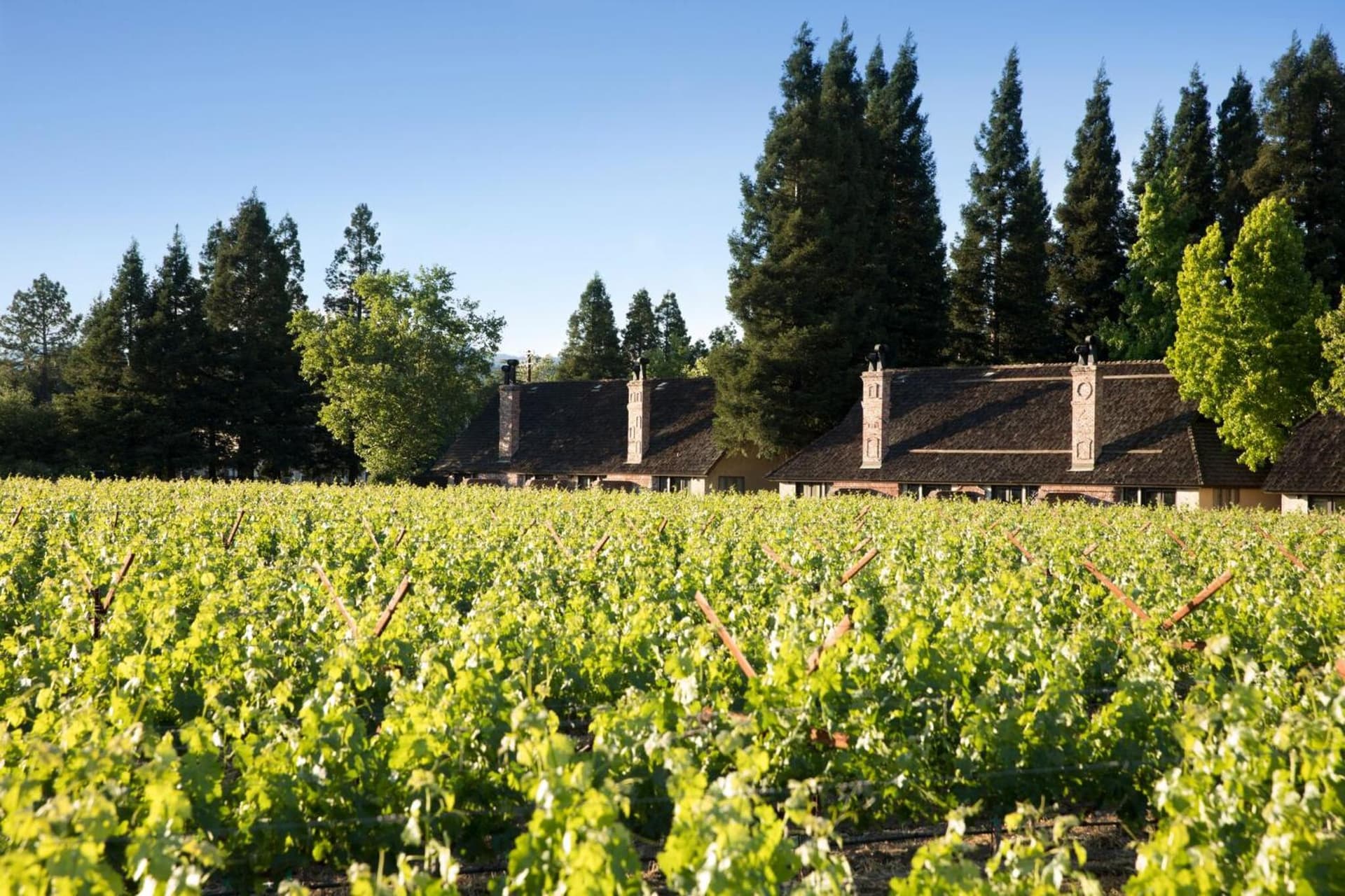 Harvest Inn gallery photo in St. Helena, CA — image 81