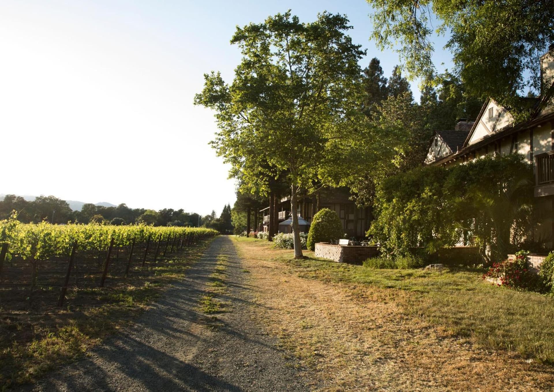 Harvest Inn gallery photo in St. Helena, CA — image 83