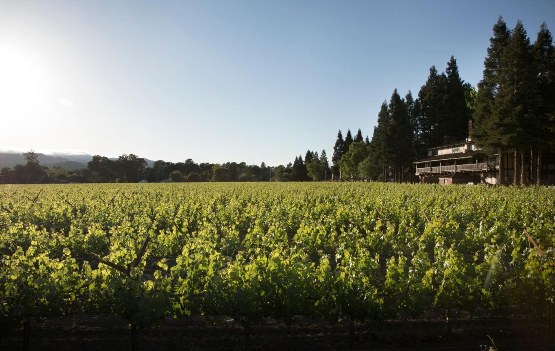 Harvest Inn gallery photo in St. Helena, CA — image 82