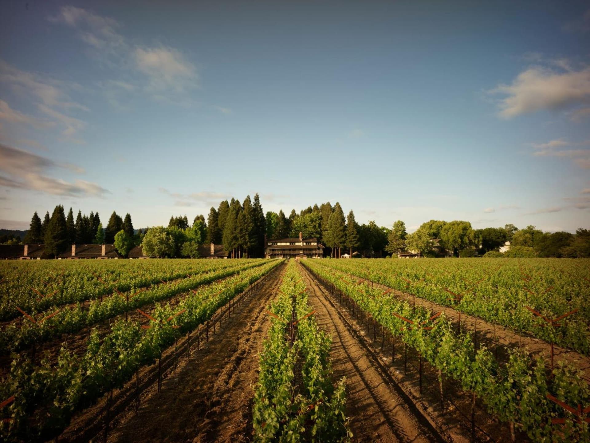 Harvest Inn gallery photo in St. Helena, CA — image 34