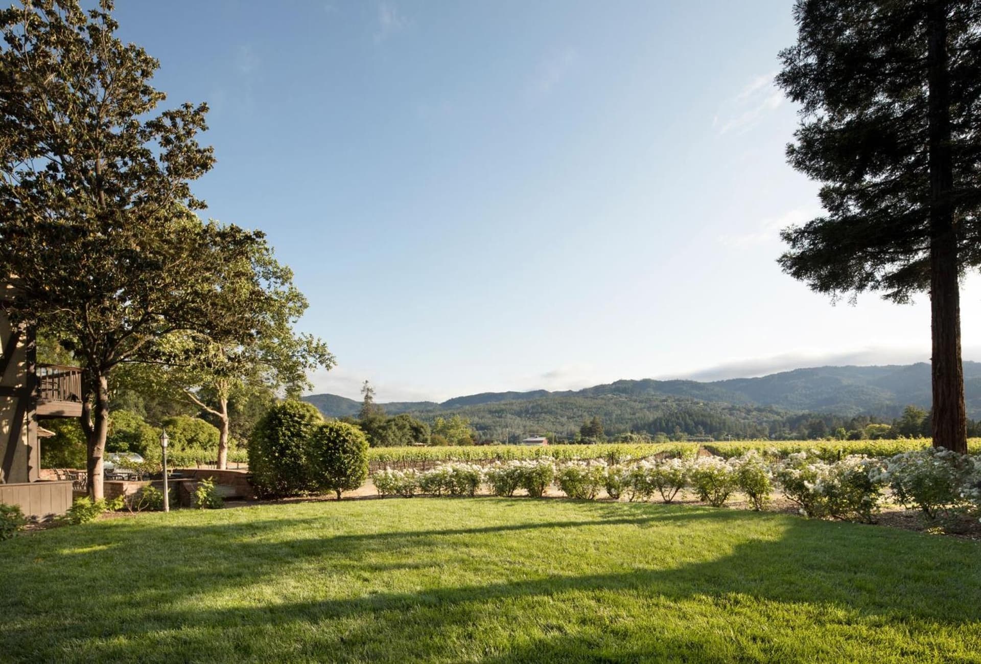 Harvest Inn gallery photo in St. Helena, CA — image 84