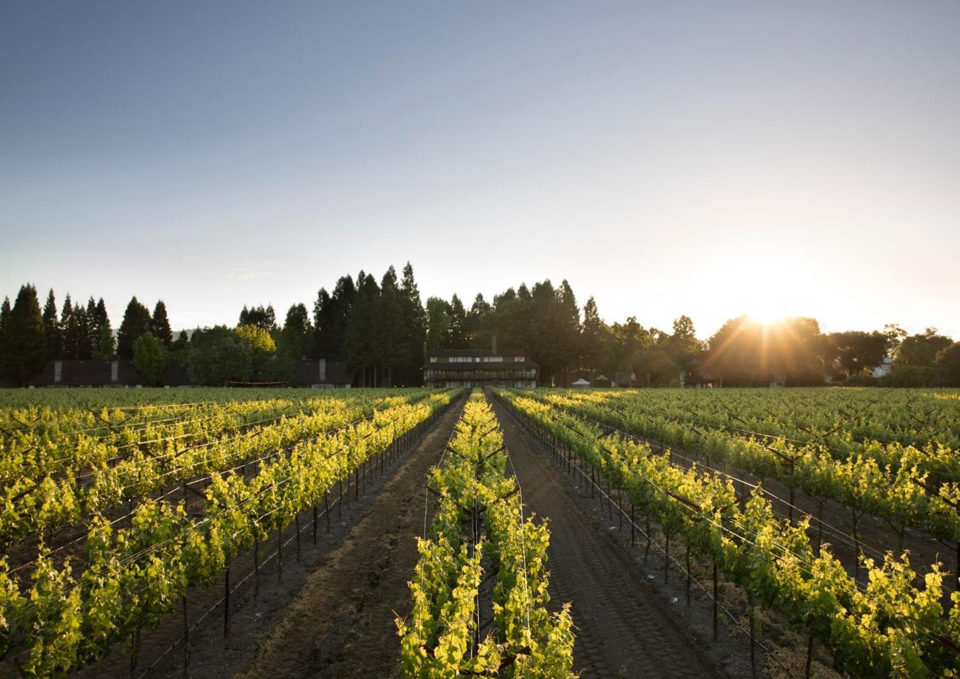 Harvest Inn gallery photo in St. Helena, CA — image 53