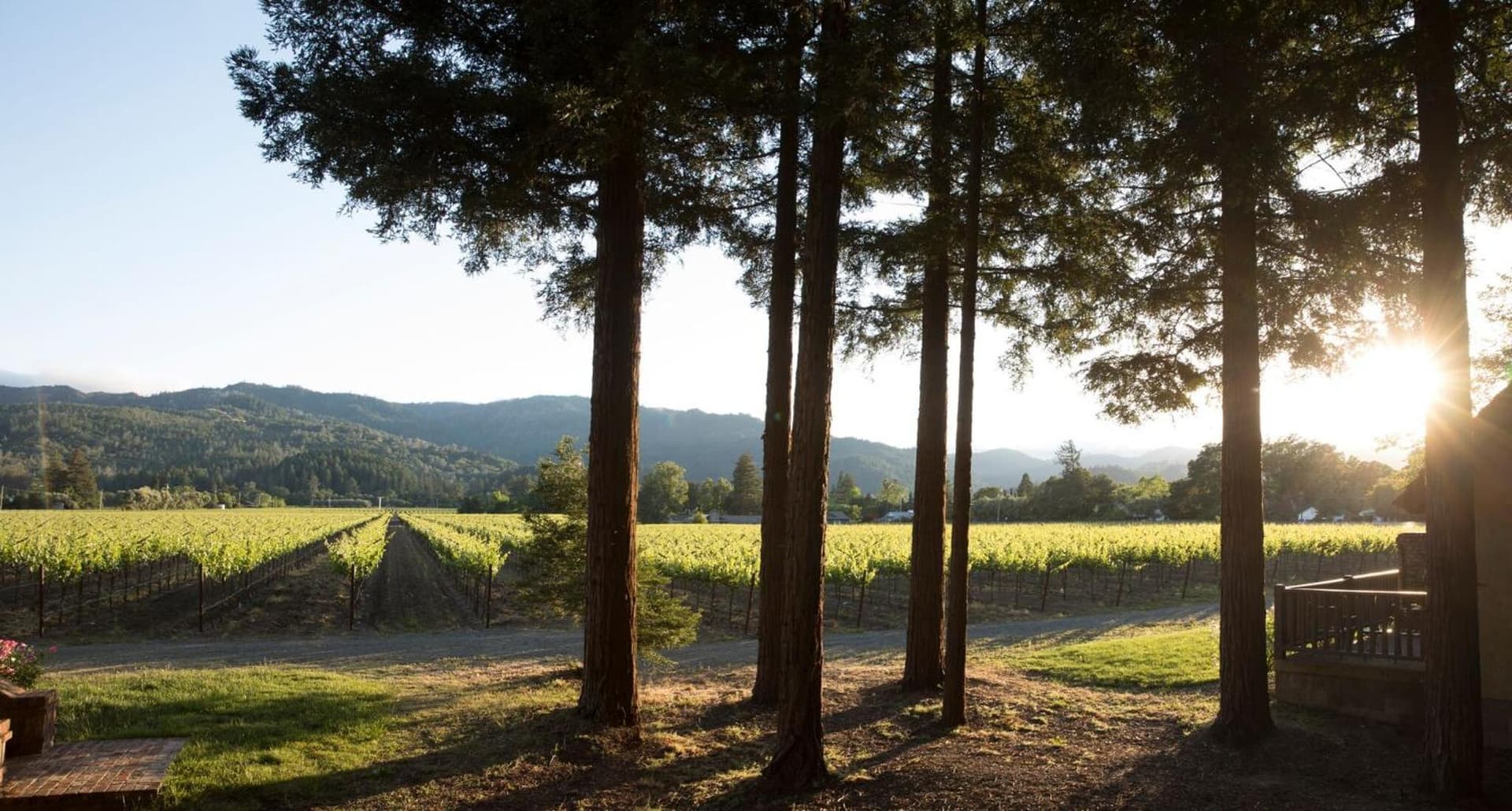 Harvest Inn gallery photo in St. Helena, CA — image 74