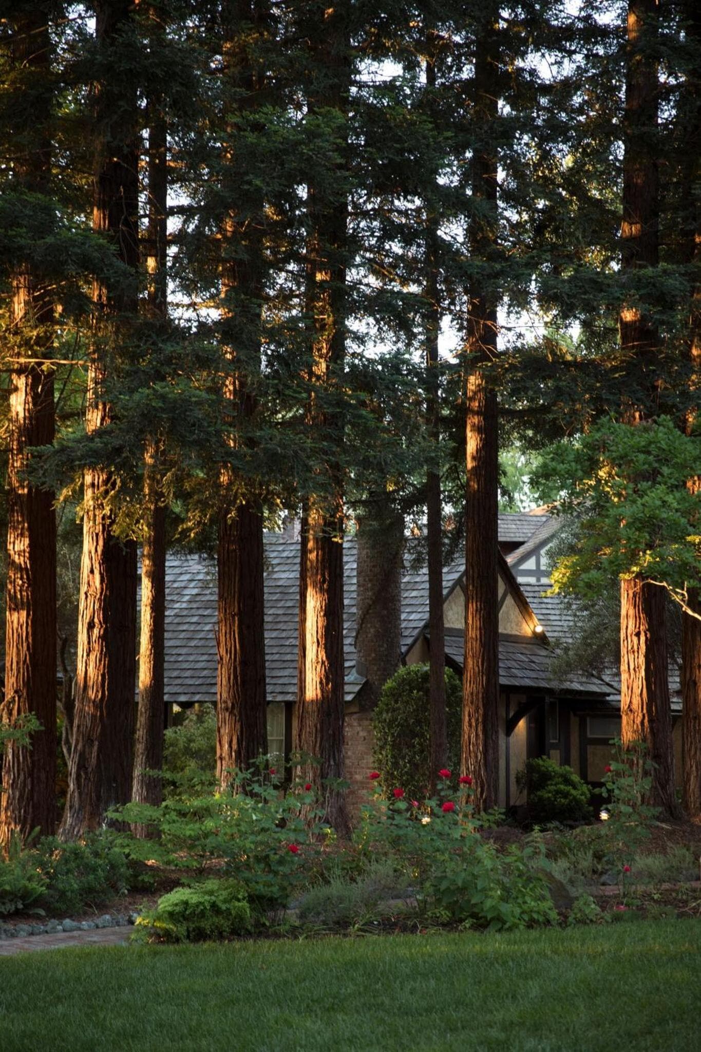 Harvest Inn gallery photo in St. Helena, CA — image 19