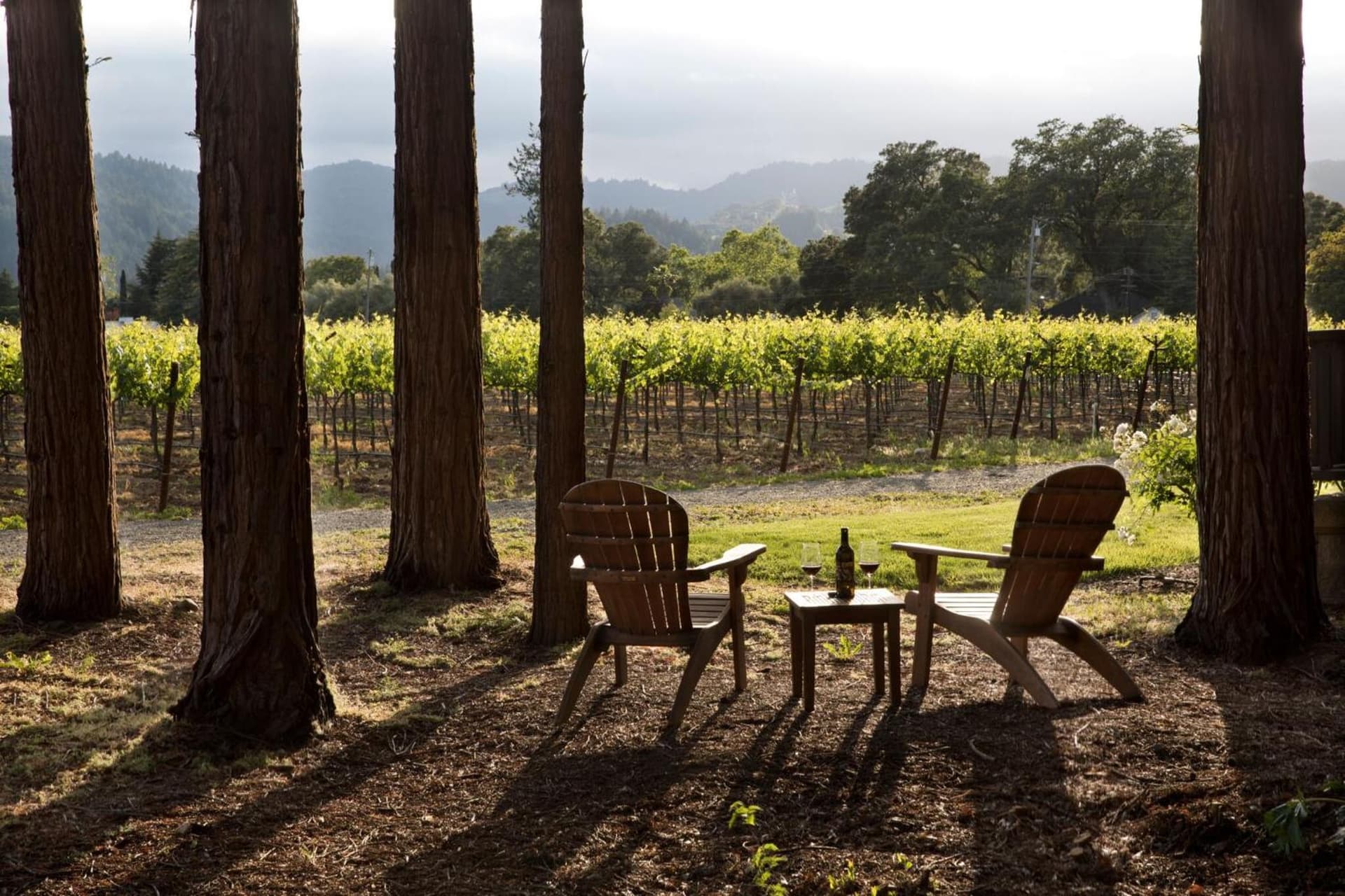 Harvest Inn gallery photo in St. Helena, CA — image 38