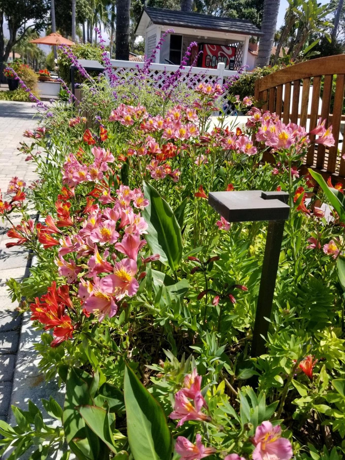 Marina Beach Hotel gallery photo in Santa Barbara, CA — image 112