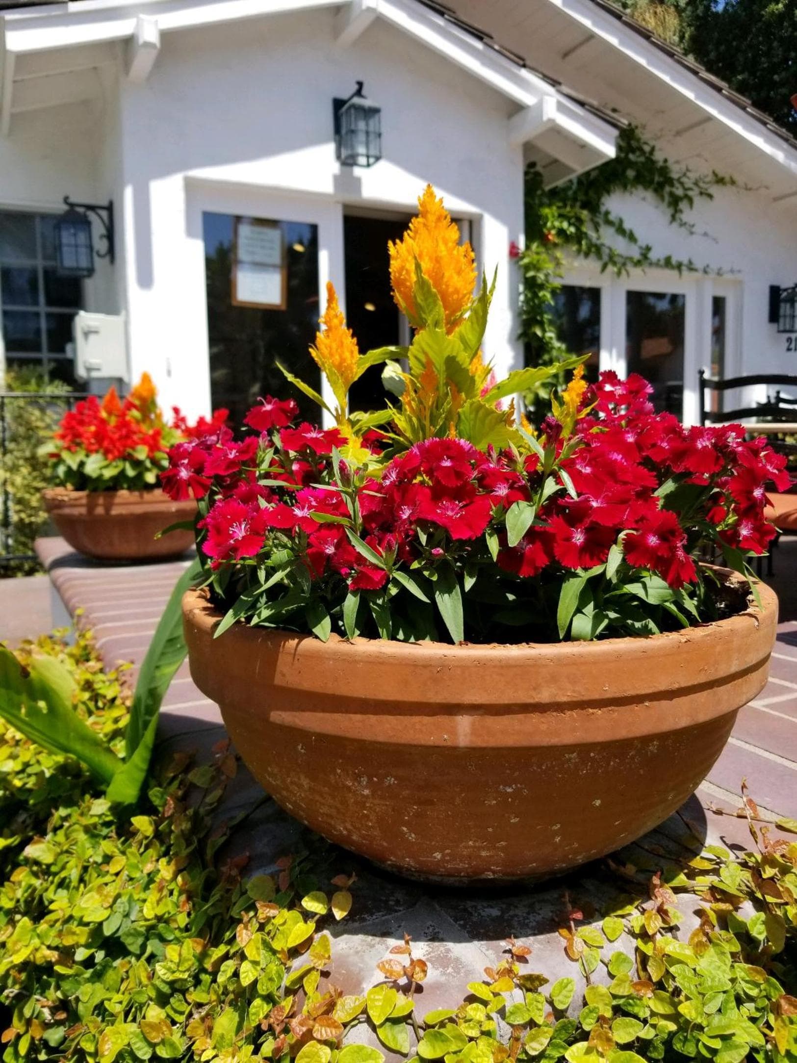 Marina Beach Hotel gallery photo in Santa Barbara, CA — image 90