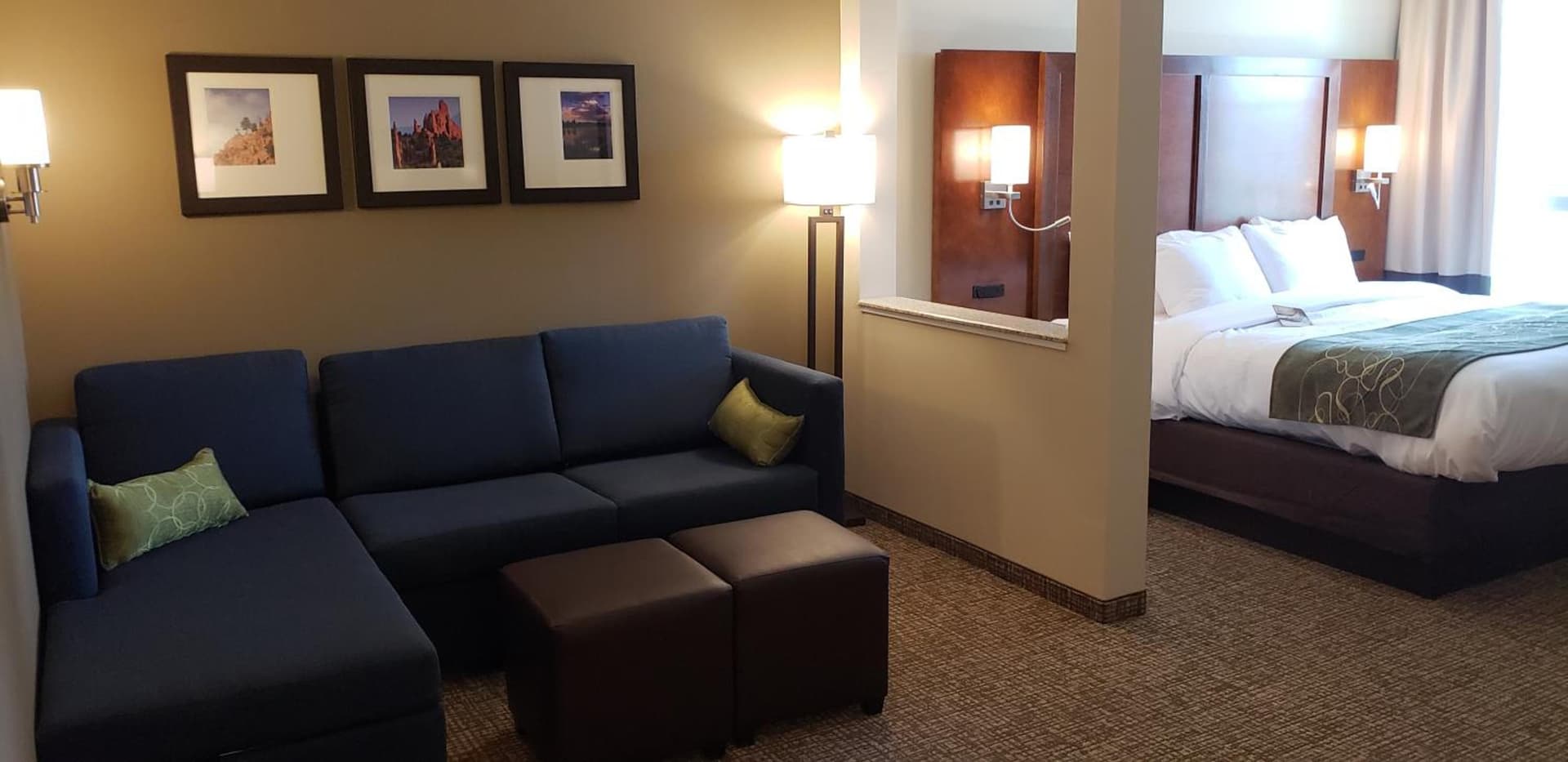 Comfort Suites Denver near Anschutz Medical Campus gallery photo in Aurora, CO — image 141