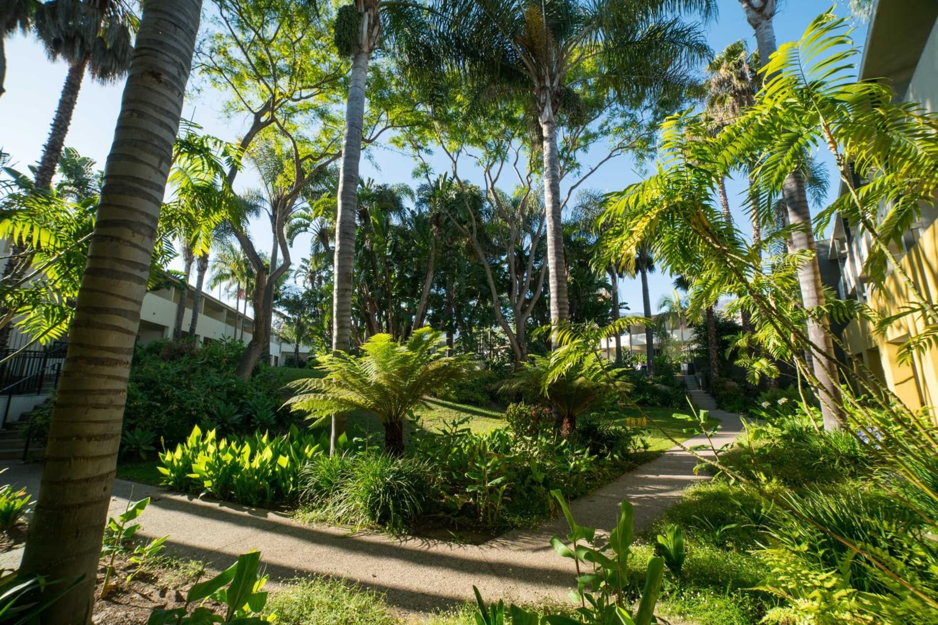 Lemon Tree Inn gallery photo in Santa Barbara, CA — image 35