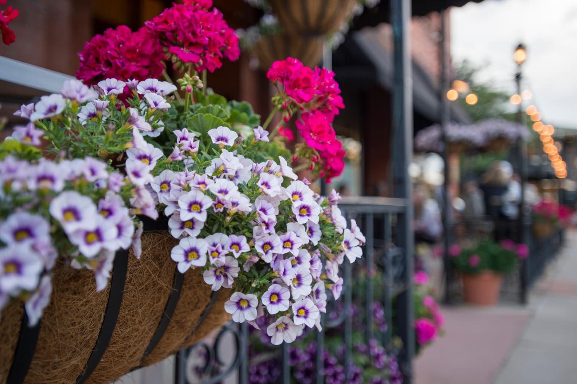 Hotel Boulderado gallery photo in Boulder, CO — image 41