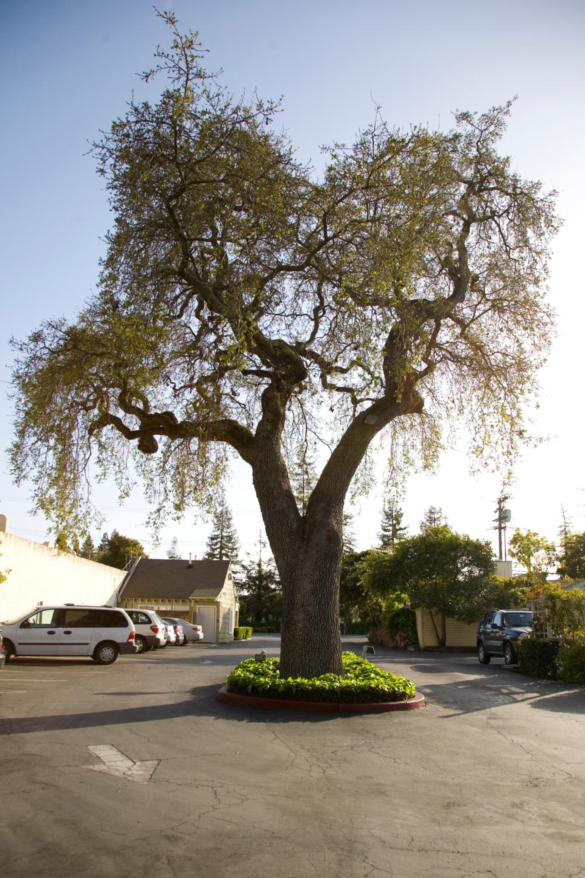 The Cottages Hotel property views in Menlo Park, CA — gallery photo 3