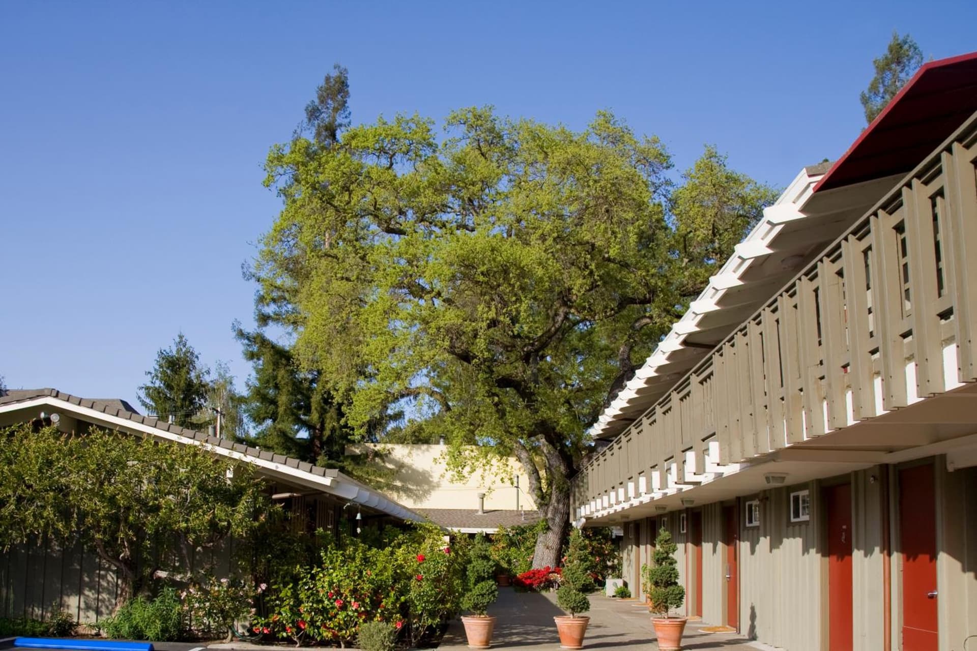 The Cottages Hotel gallery photo in Menlo Park, CA — image 12