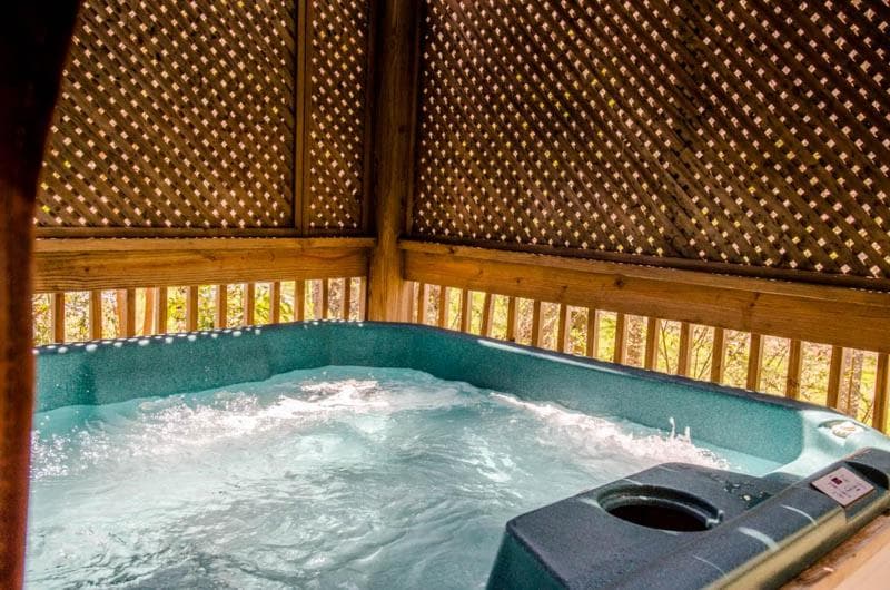 Asheville Cabins of Willow Winds property views in Asheville, NC — gallery photo 3