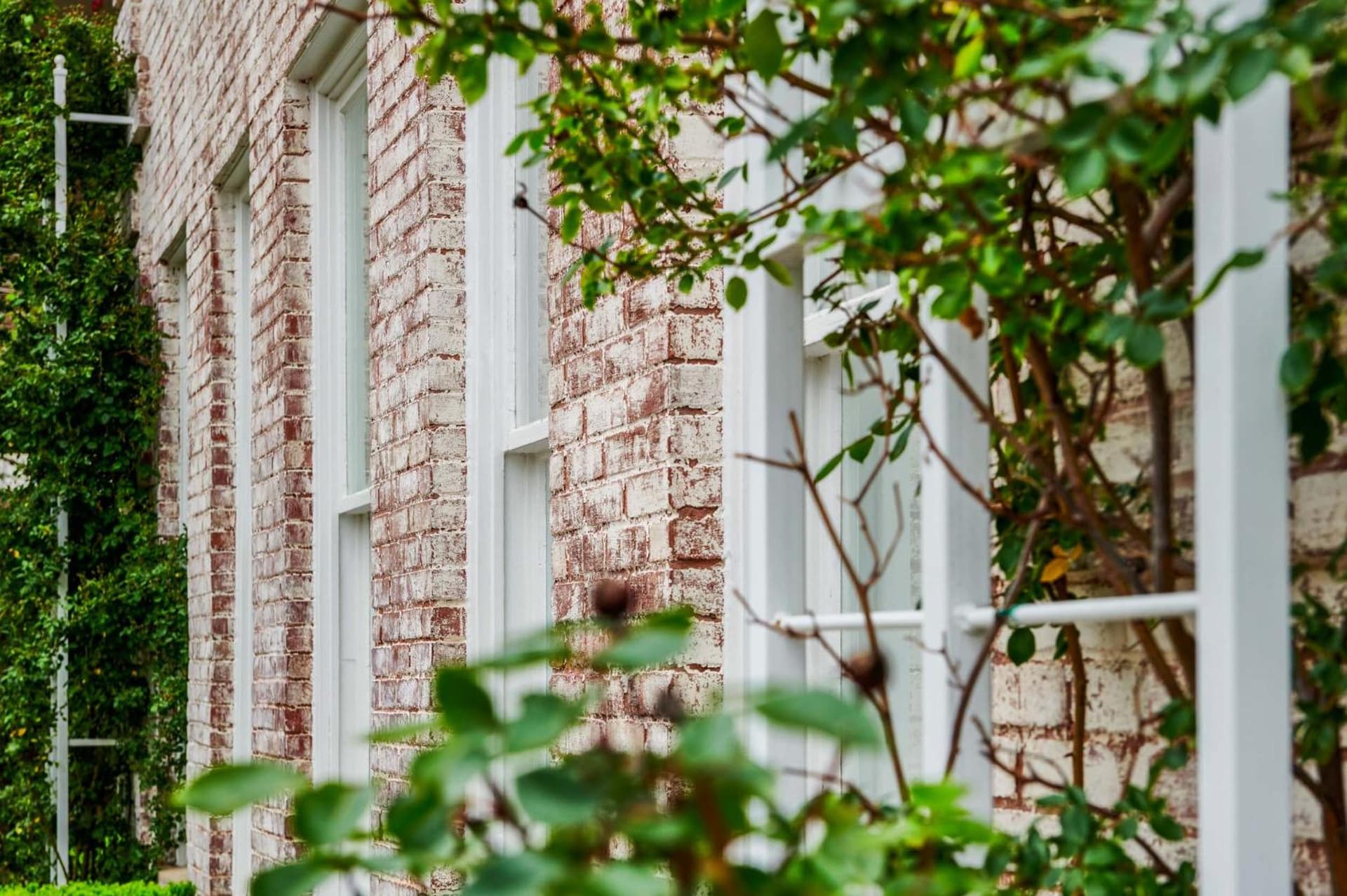Inn at Carnall Hall gallery photo in Fayetteville, AR — image 23