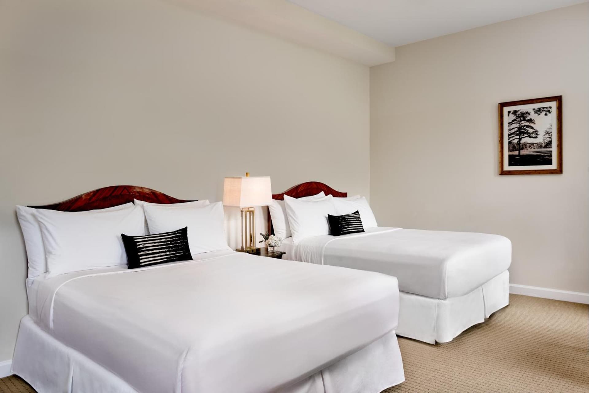 Inn at Carnall Hall gallery photo in Fayetteville, AR — image 17