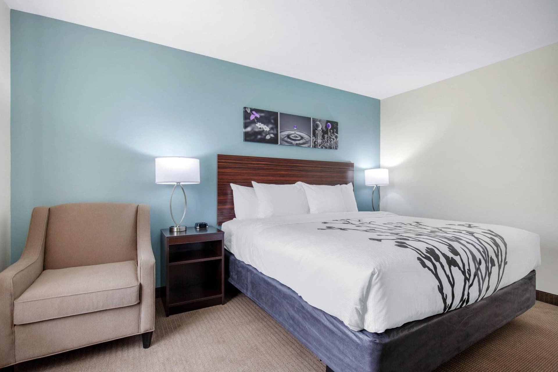 Sleep Inn & Suites South Jacksonville property views in South Jacksonville, IL — gallery photo 3