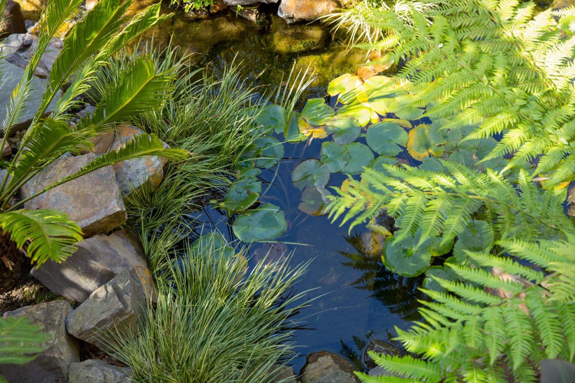Tradewinds Carmel gallery photo in Carmel, CA — image 17