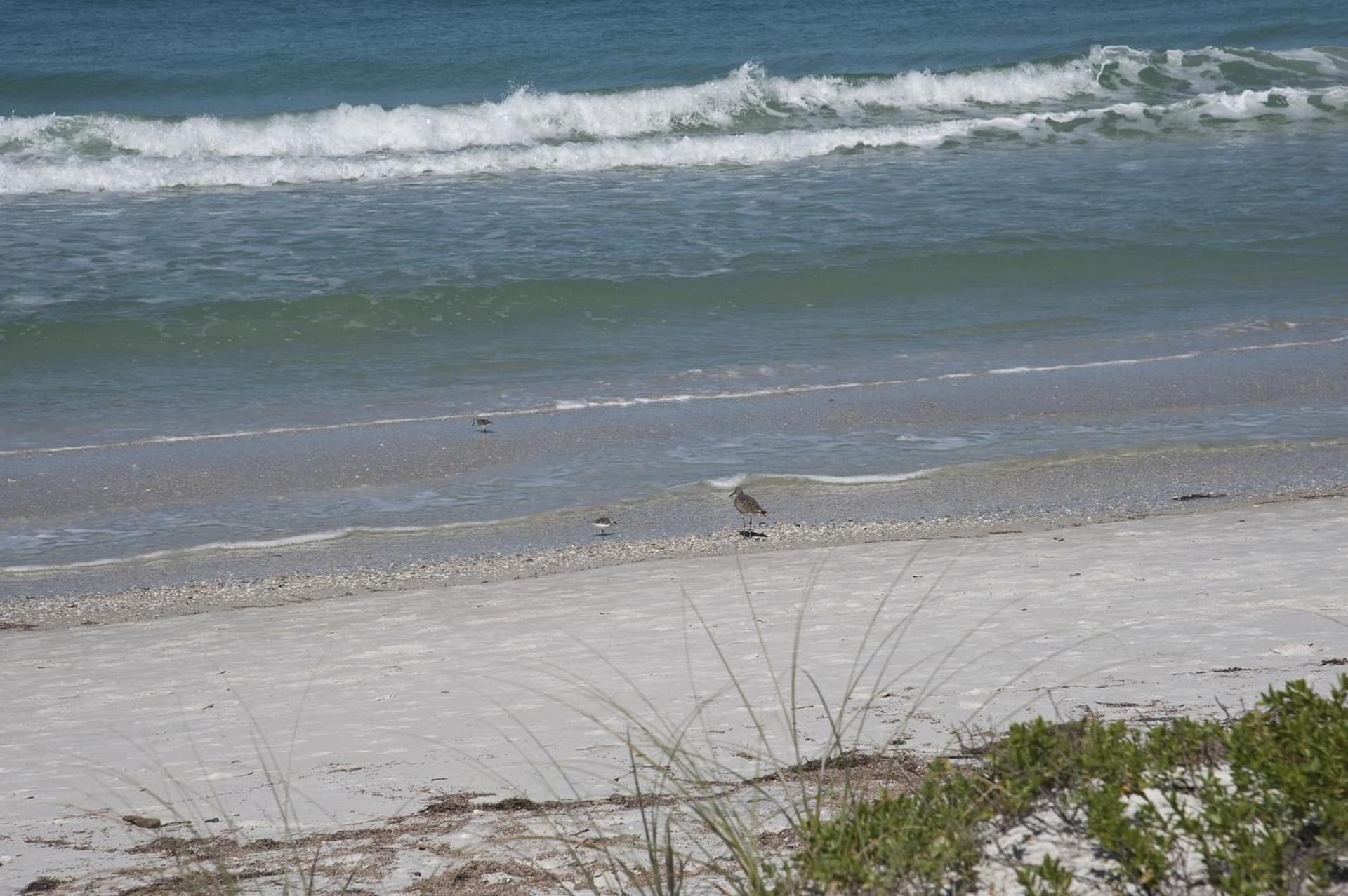 Bungalow Beach Resort gallery photo in Bradenton Beach, FL — image 9