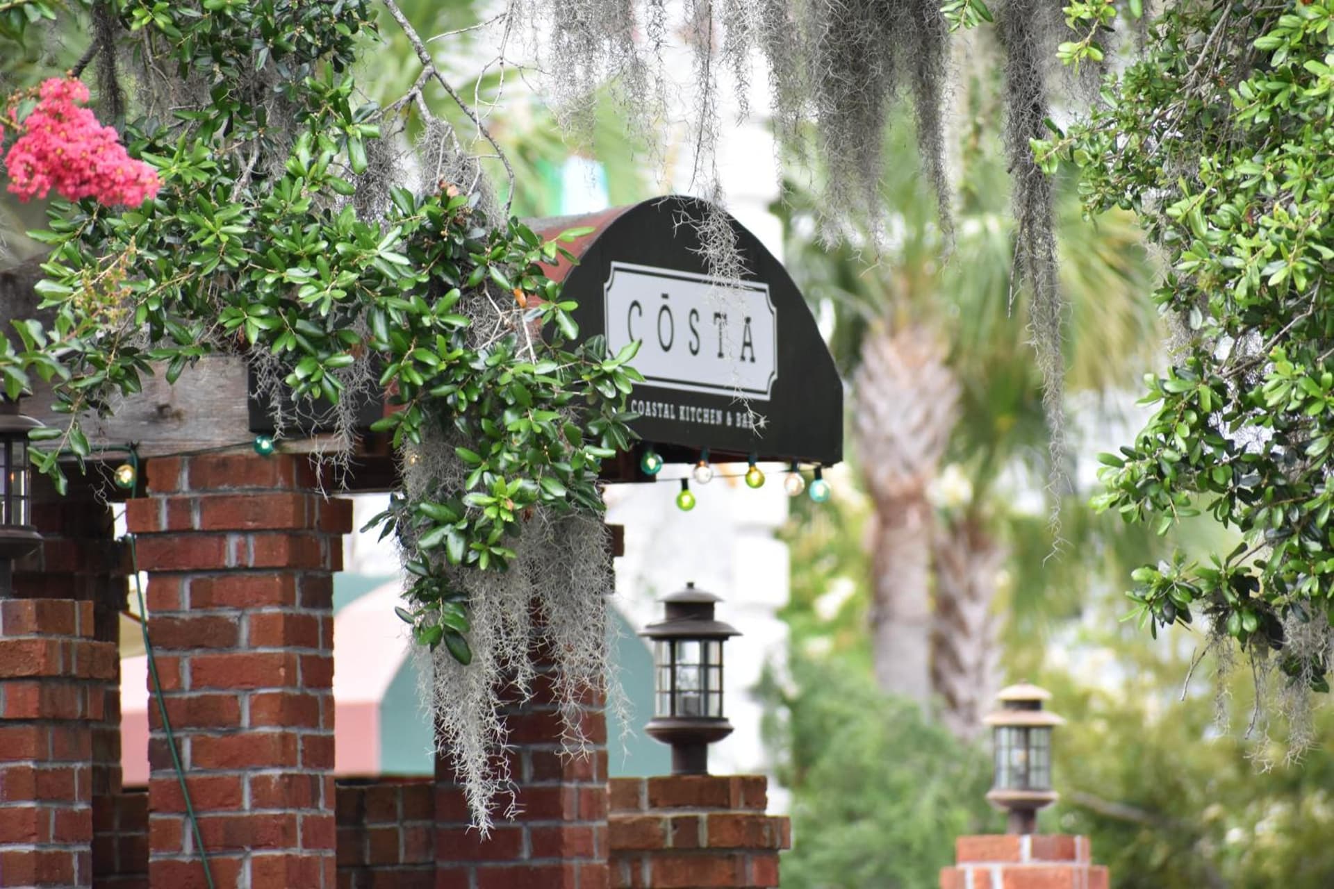 Willow Lodge gallery photo in Myrtle Beach, SC — image 34