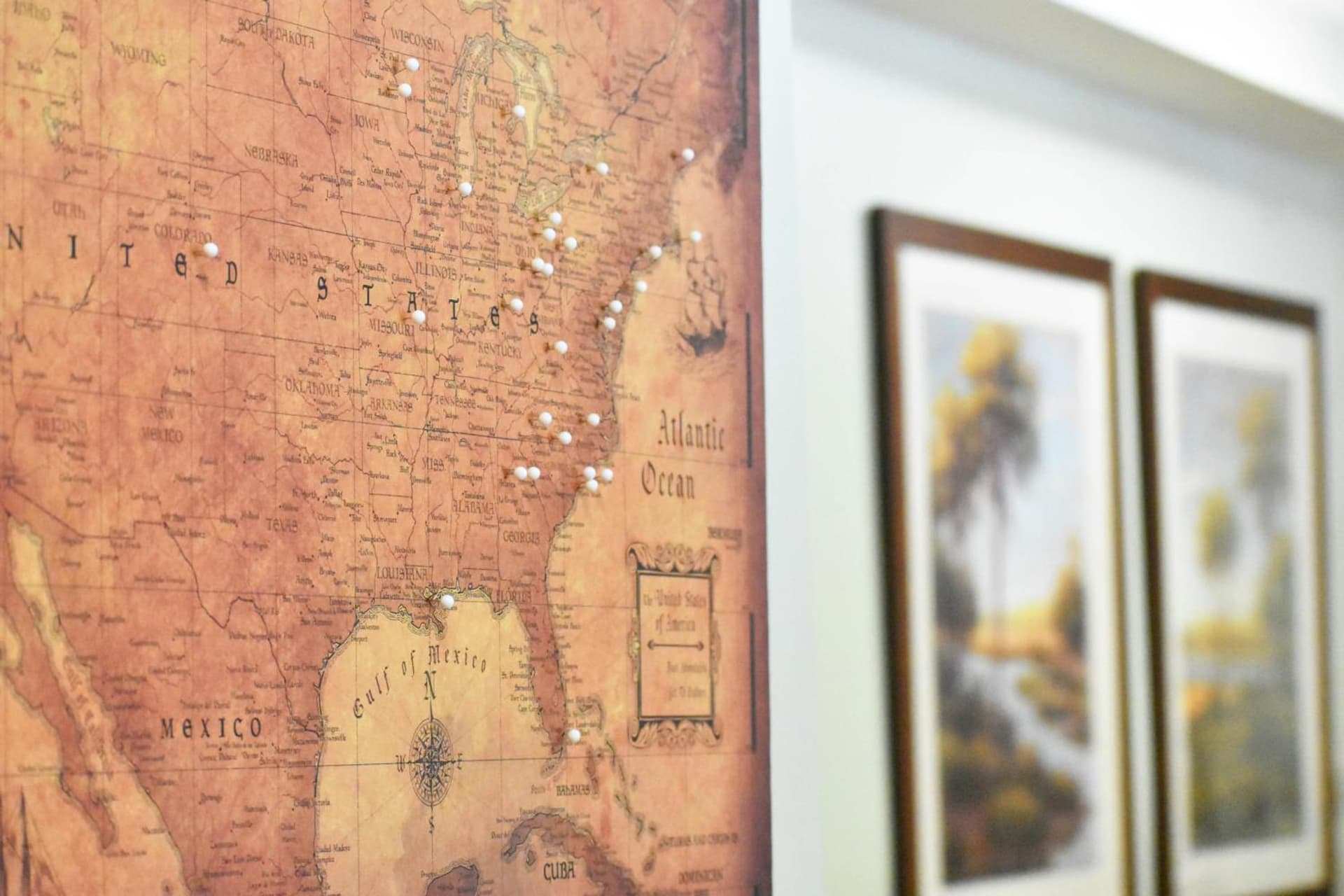Willow Lodge gallery photo in Myrtle Beach, SC — image 17